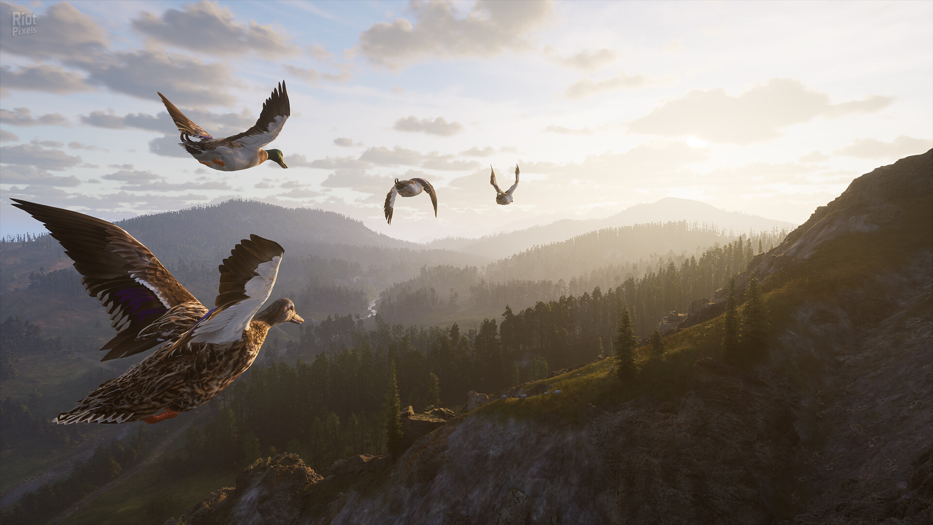 Way of the Hunter 2 – v1.0.0.212045 + 3 DLCs screenshot 6