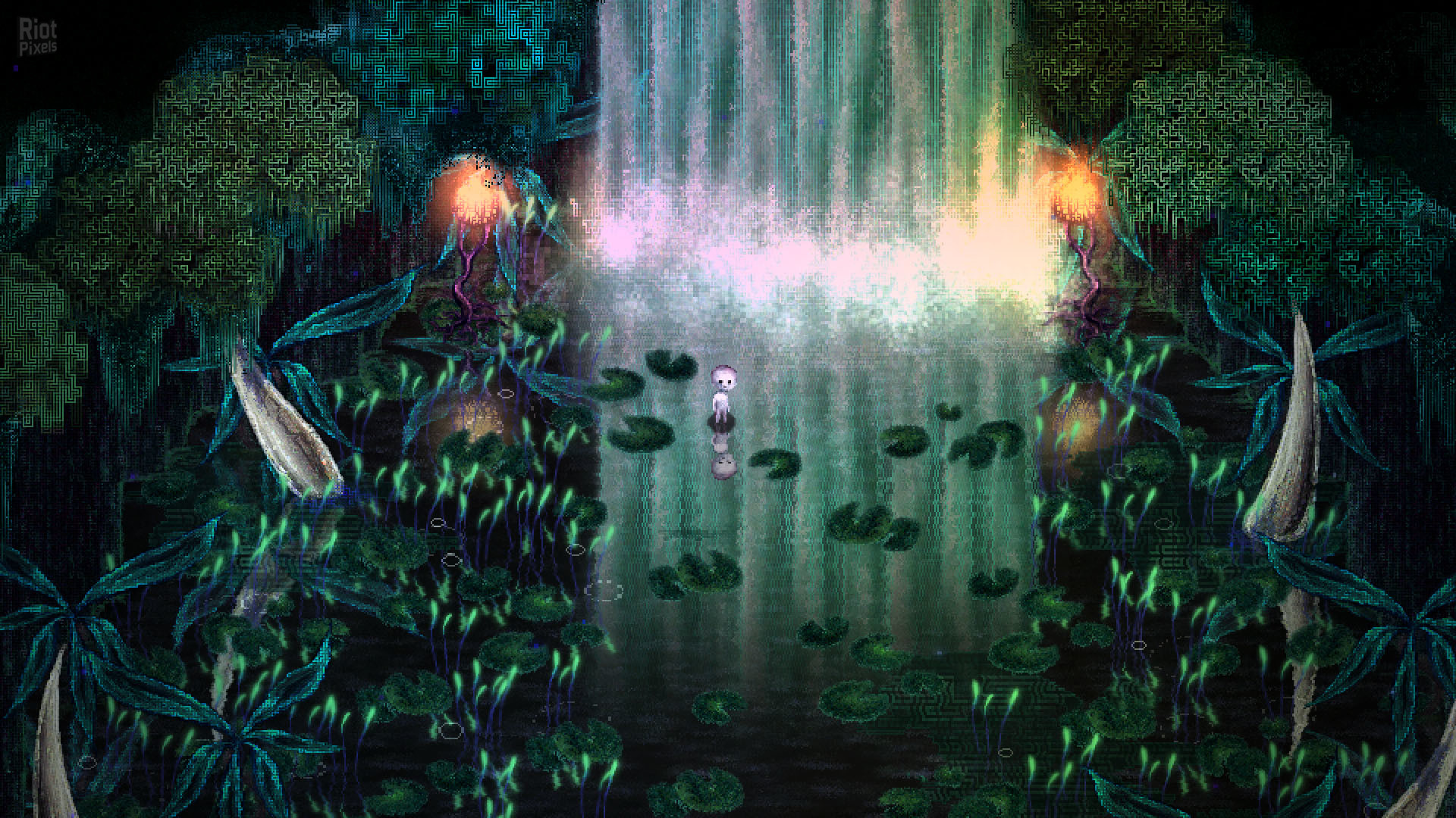 Dap screenshot 2