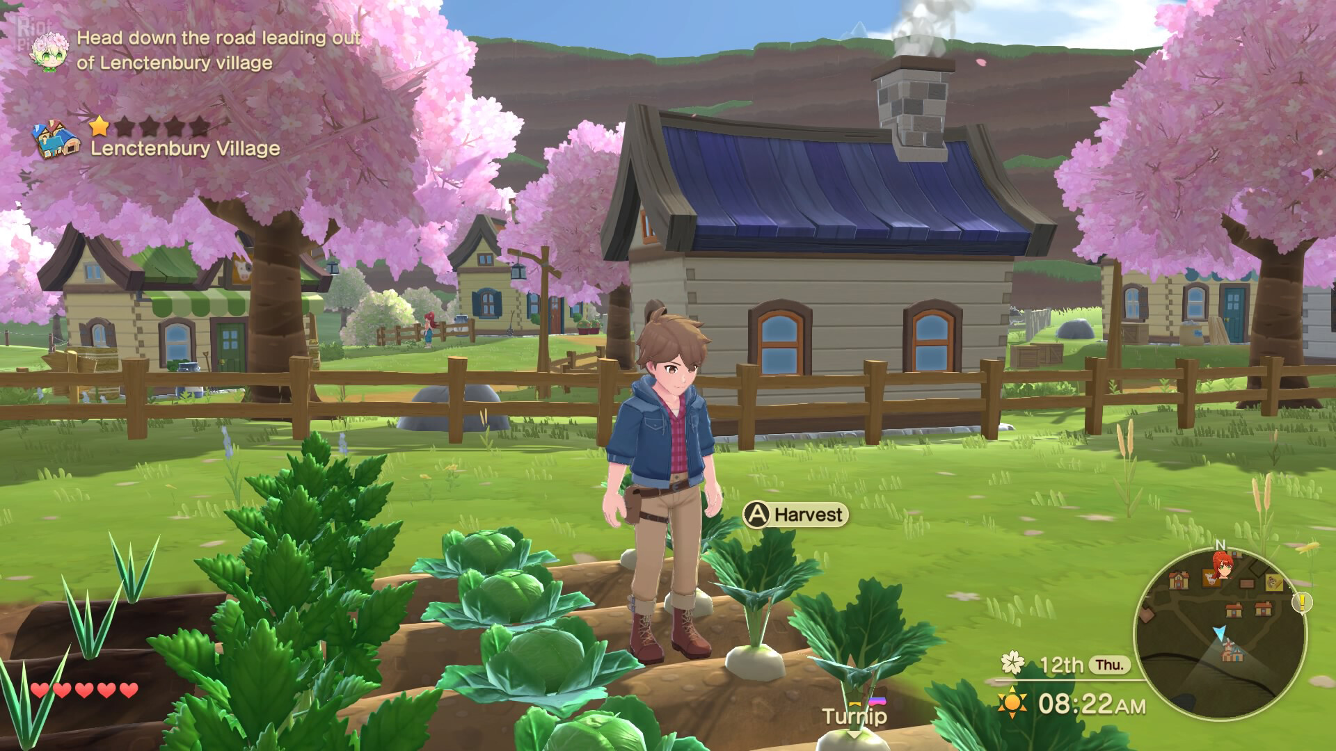 Harvest Moon: The Winds of Anthos, v1.42 Build 133 + 5 DLCs screenshot 5