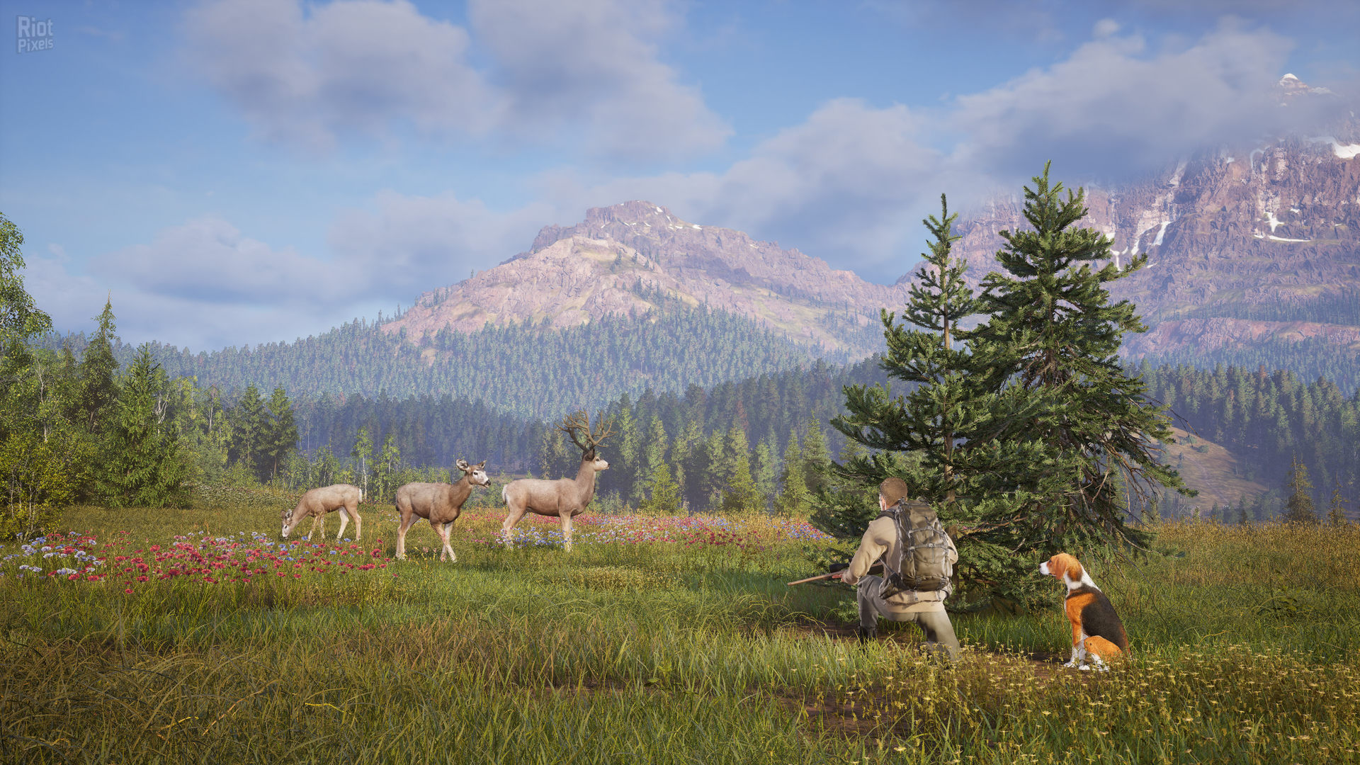Way of the Hunter 2 – v1.0.0.212045 + 3 DLCs screenshot 2