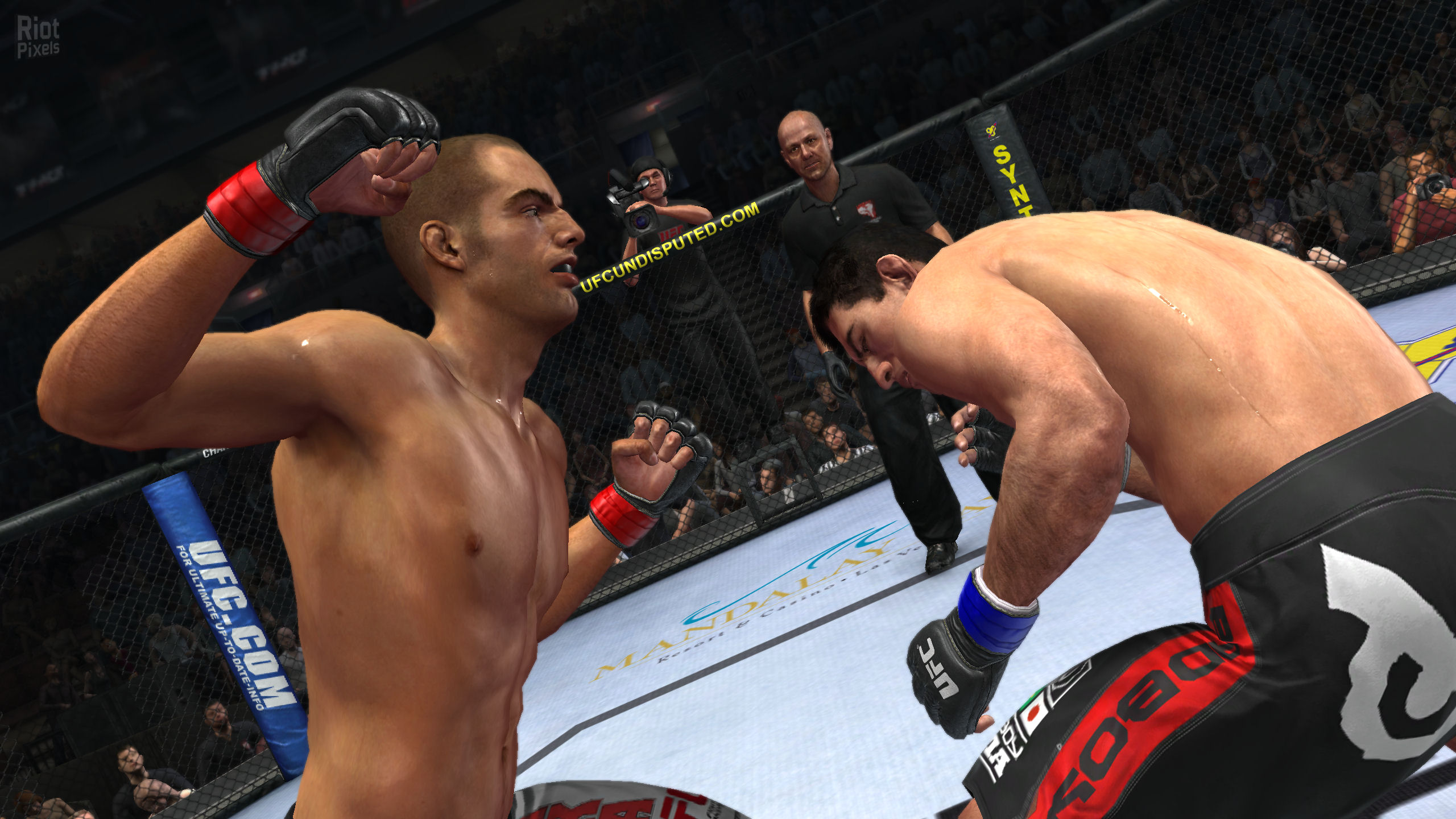 download ufc game for pc