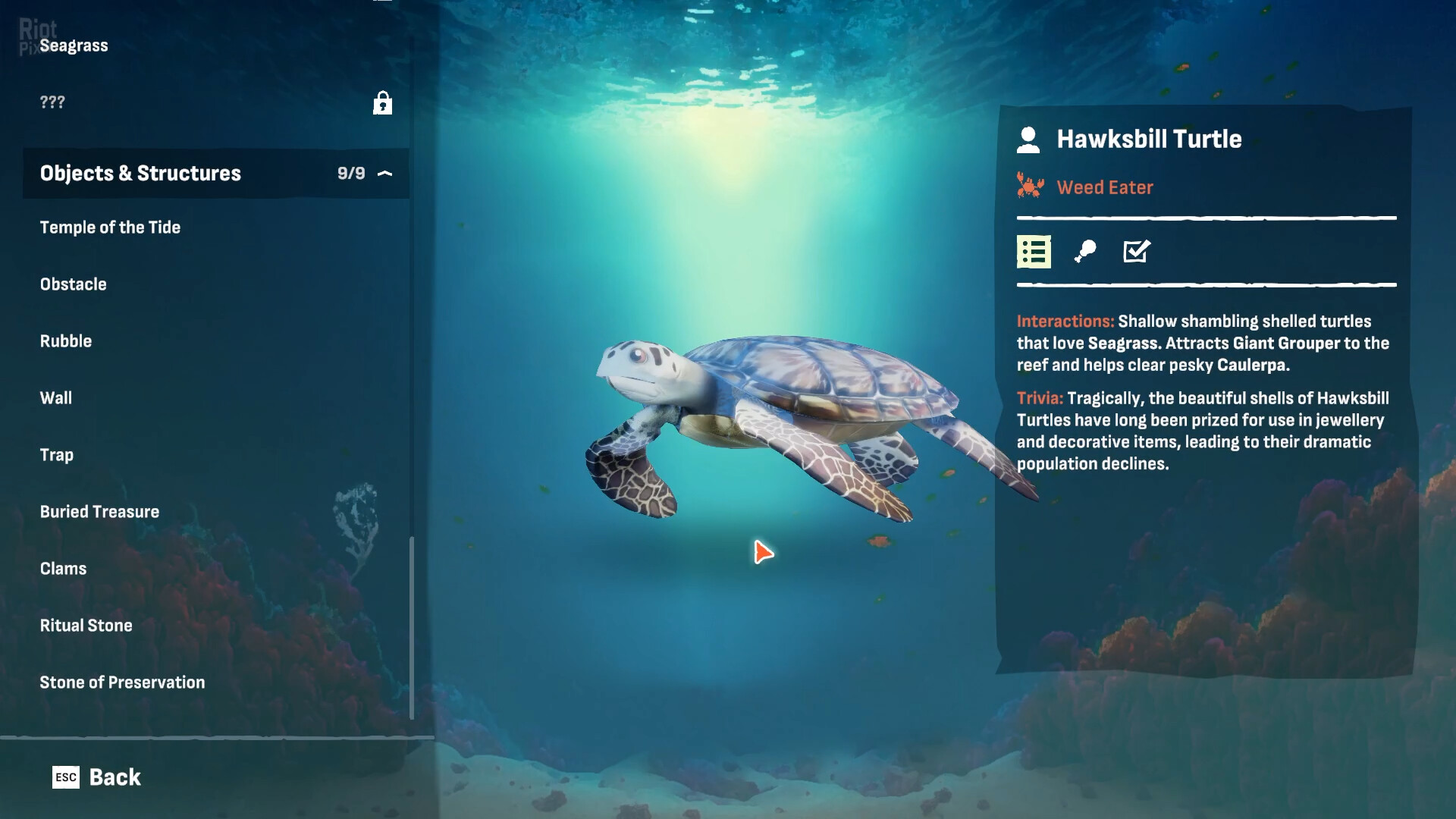 Crab God: Supporter Edition, v1.0.24 + Bonus Content screenshot 4