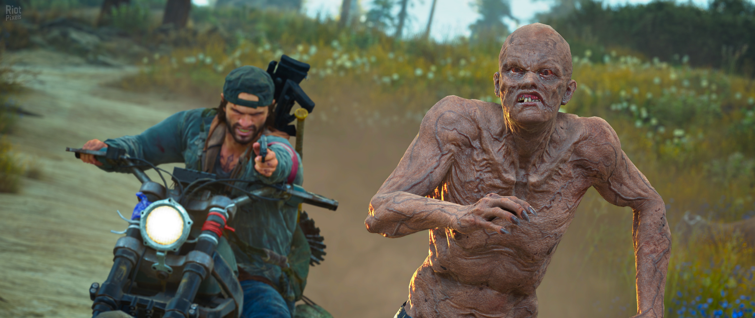 Days Gone 4