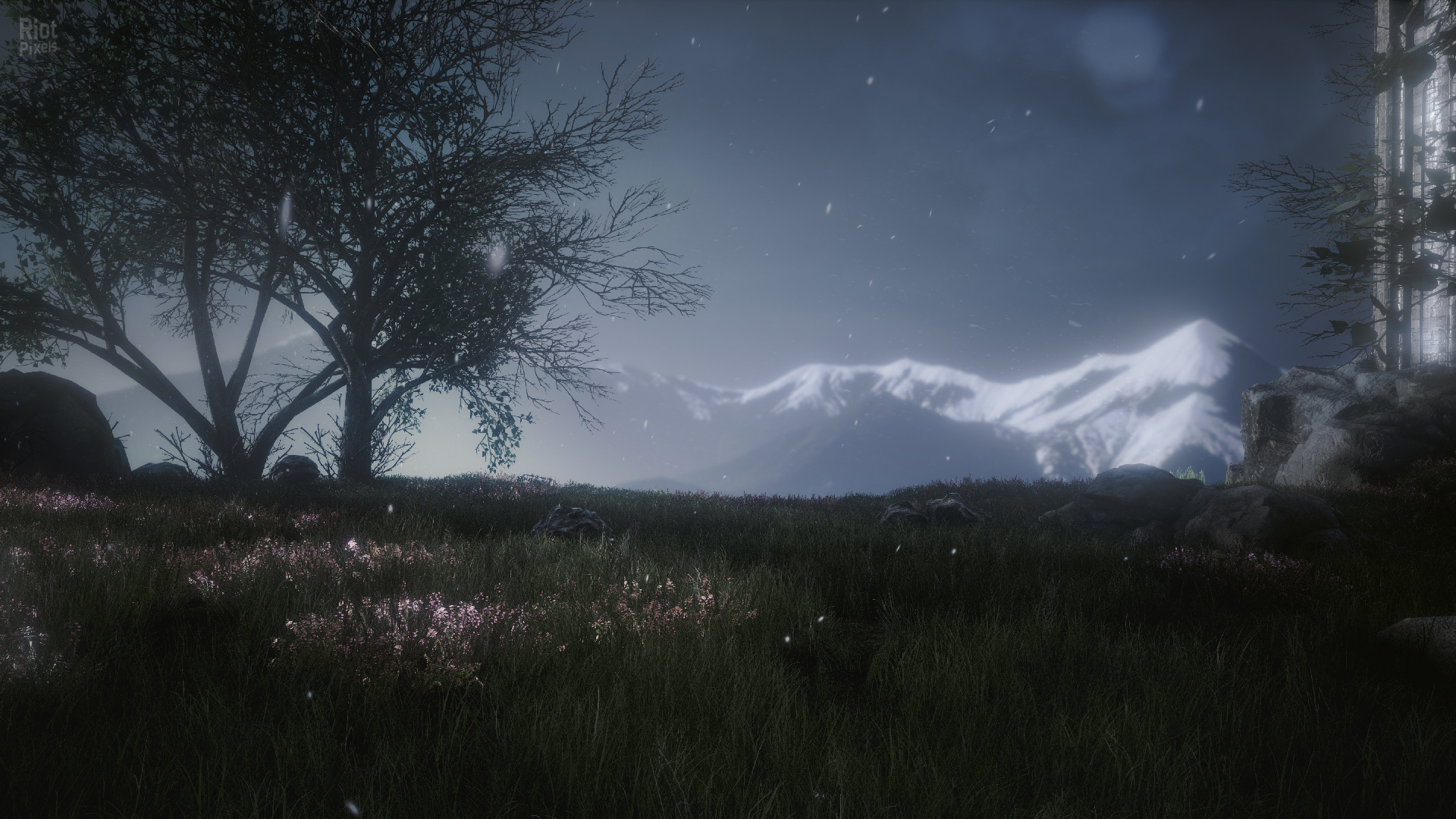 The Butterfly Sign – v1.1.2/Update 5 screenshot 1