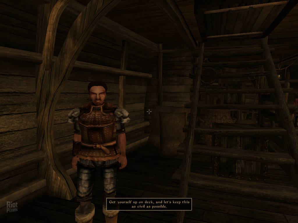 The Elder Scrolls III Morrowind Linux Native