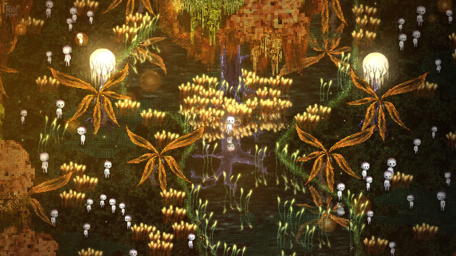 Dap screenshot 5