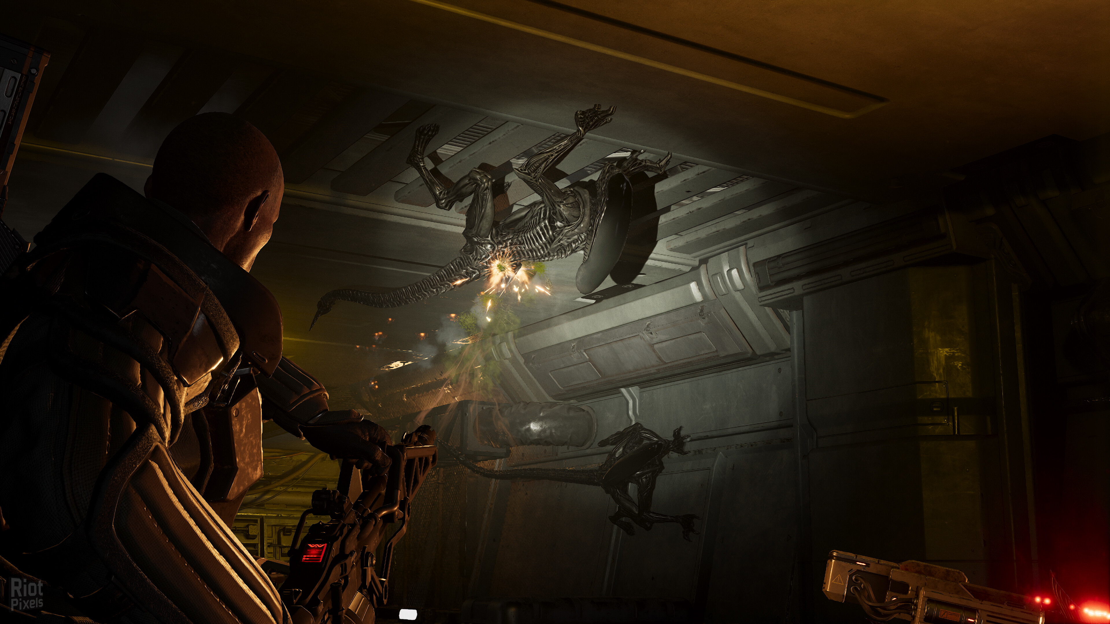 Aliens: Fireteam Elite 2 – 40th Anniversary Premium Edition, v1.0.0 Build 118626 + 2 DLCs screenshot 6