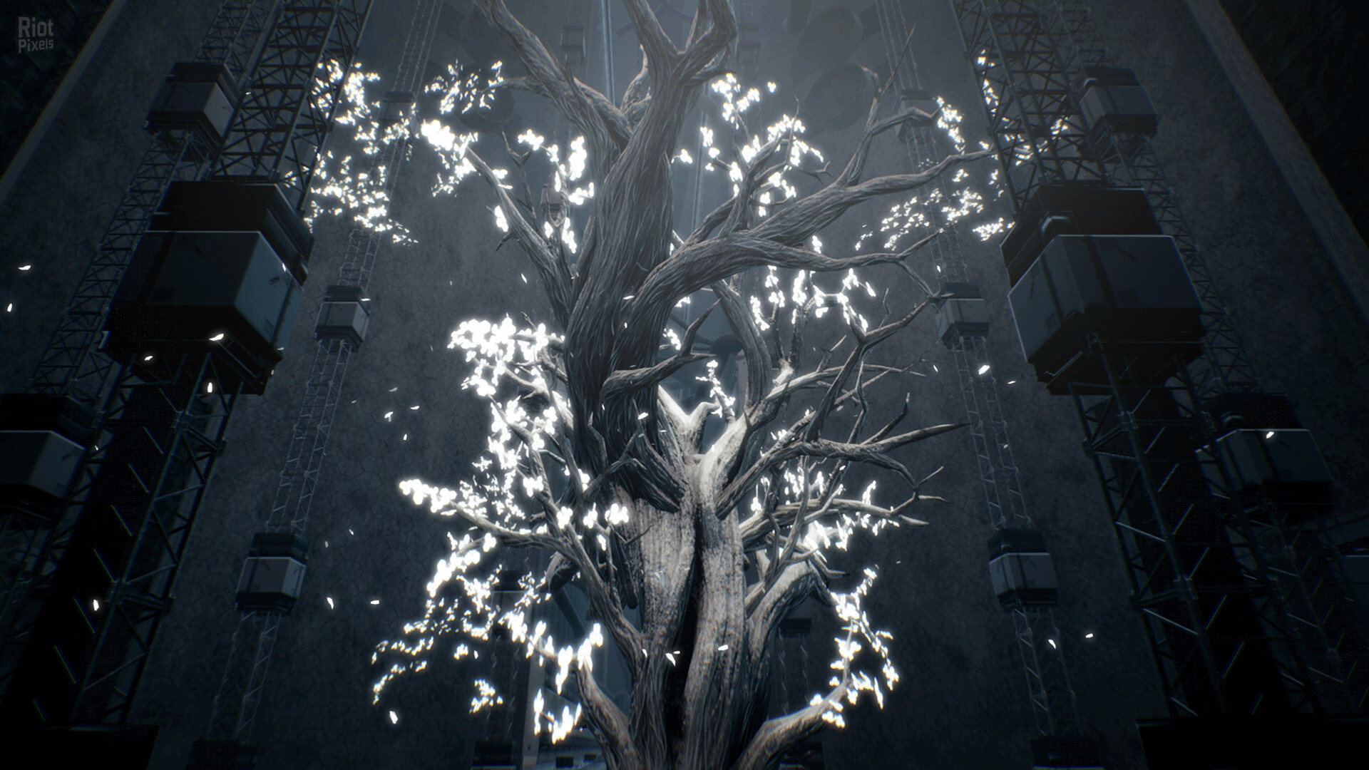 Dolls Nest + Soundtracks, v1.0.1 + Bonus Content screenshot 2