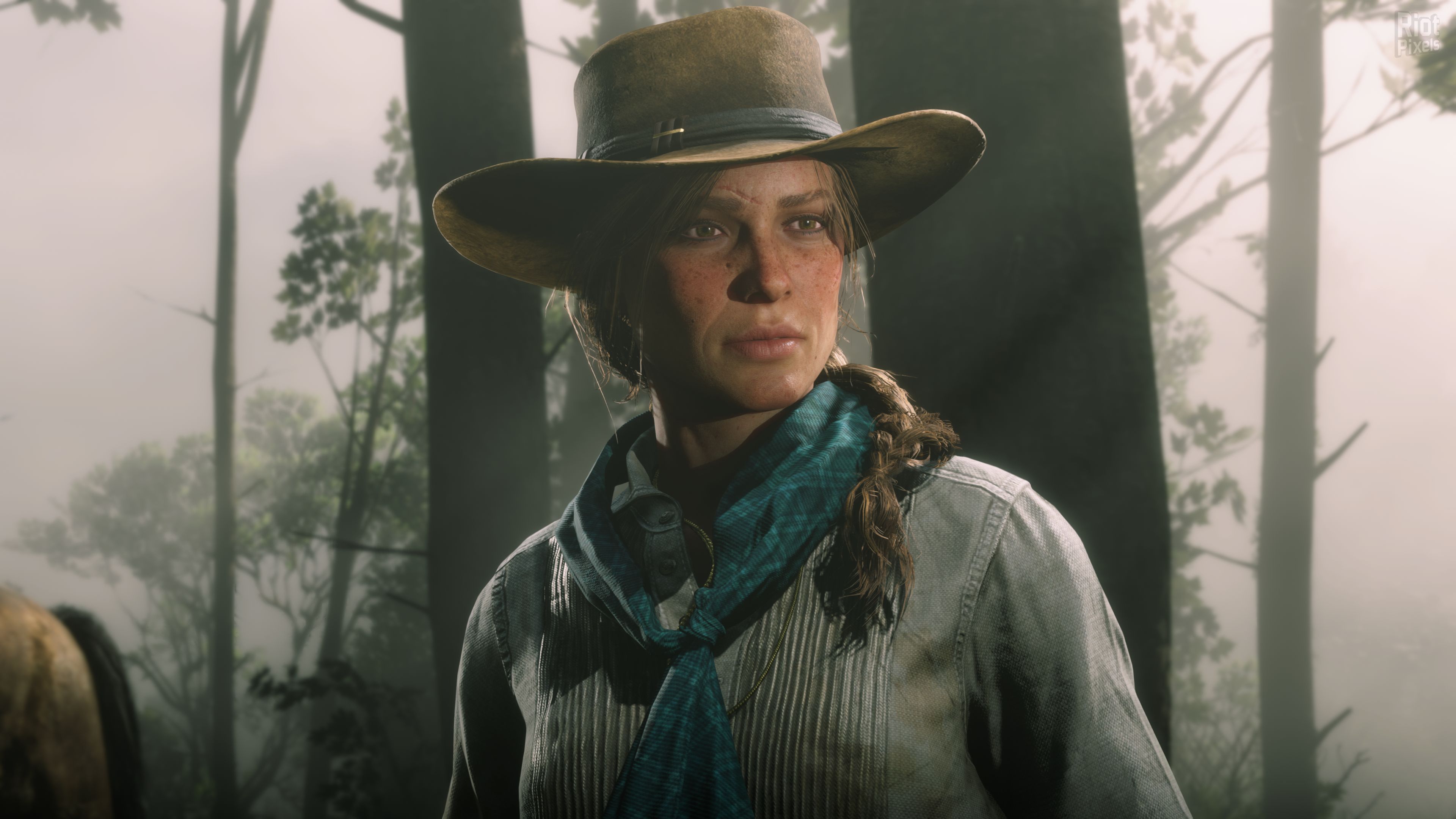 Red Dead Redemption 2 (Build 1311.23, MULTi13) [FitGirl Repack]
