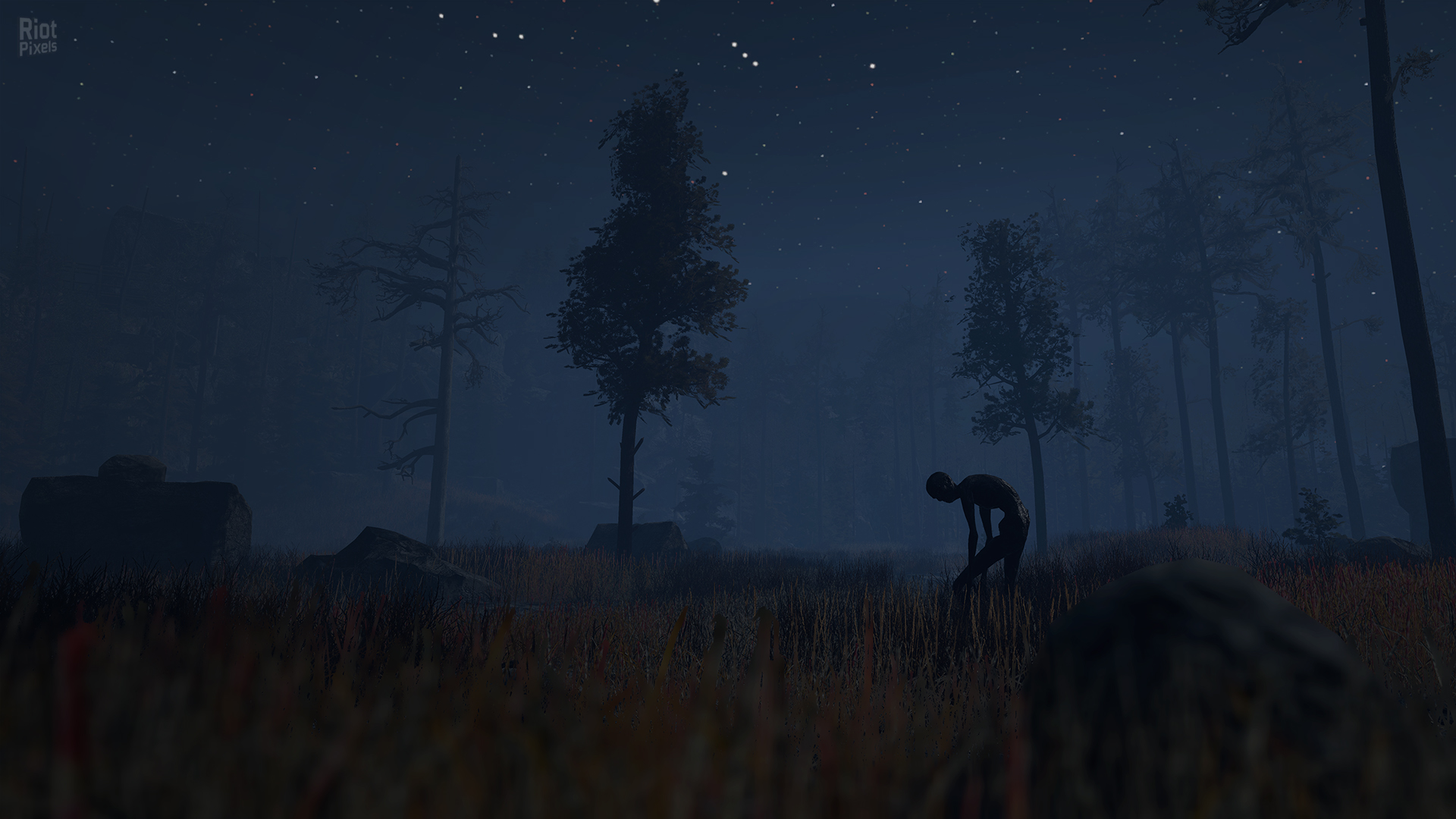 Through the Woods + HotFix screenshot 4