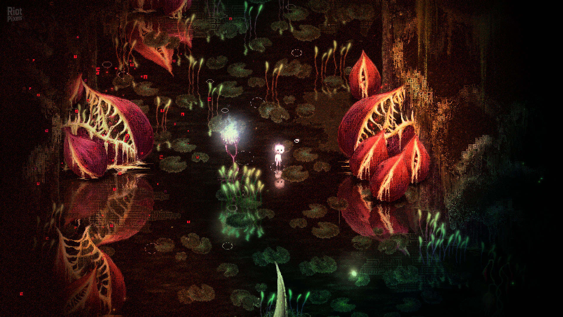 Dap screenshot 1
