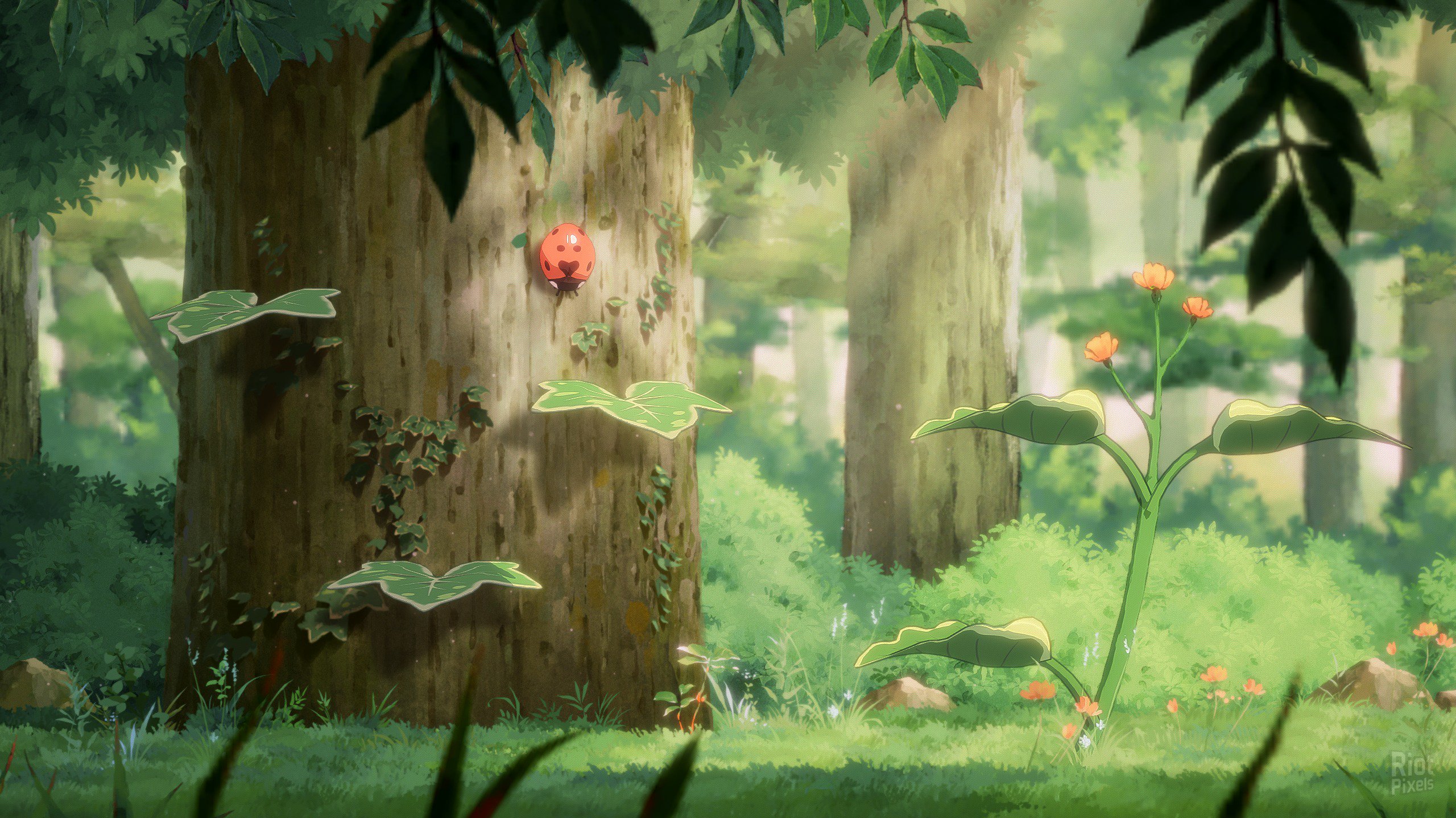 Hoa – v1.03 screenshot 3
