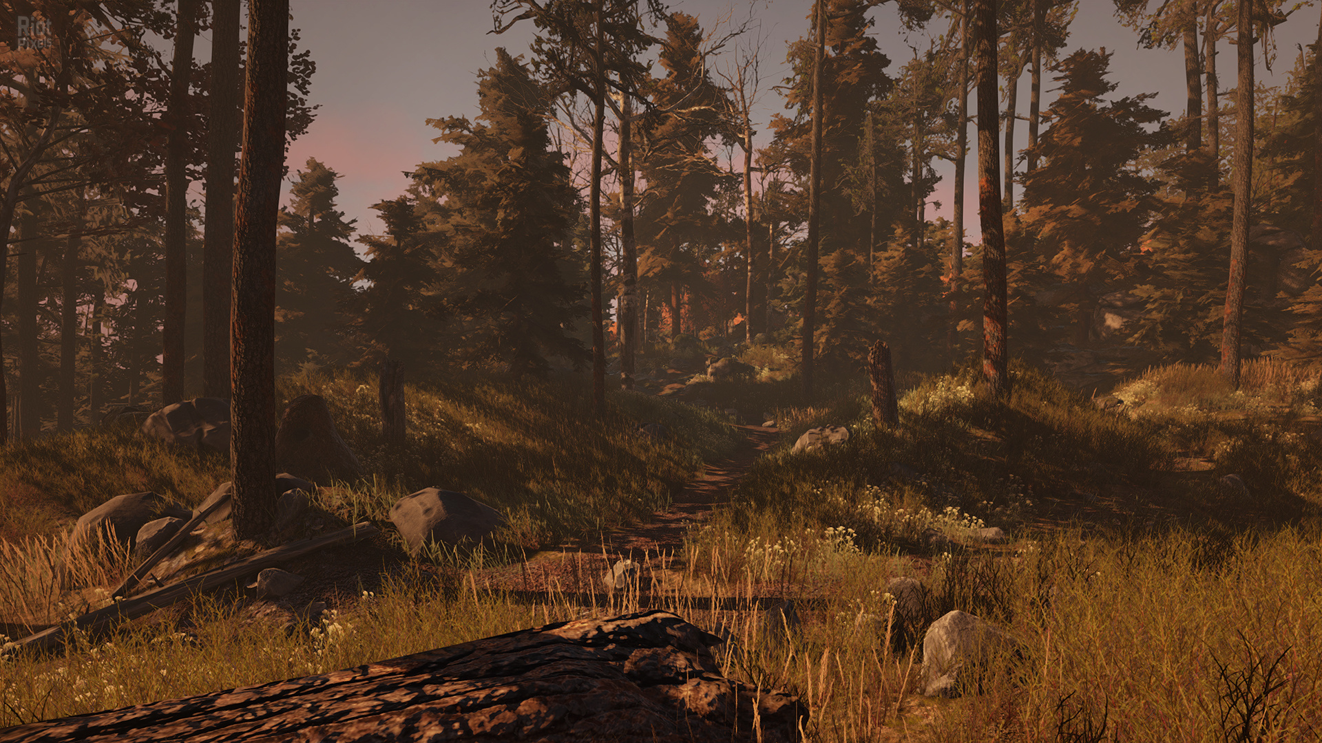 Through the Woods + HotFix screenshot 2