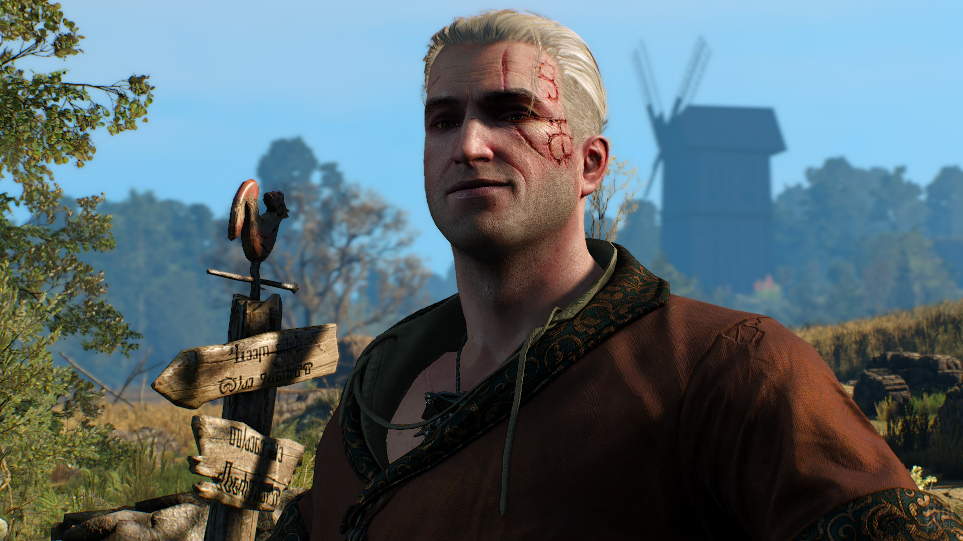 The witcher 3 community patch фото 22