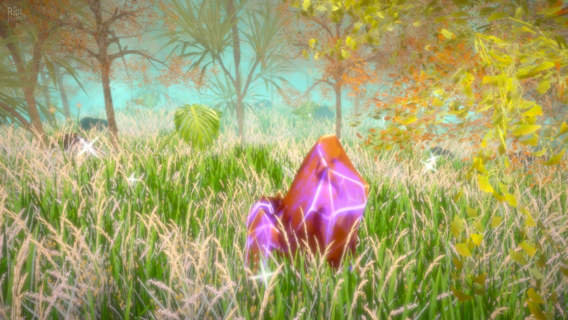 Hidden Treasures in the Forest of Dreams screenshot 3