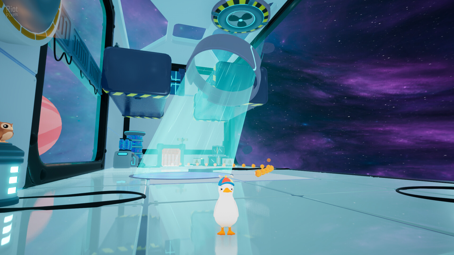 Dodo Duckie screenshot 4