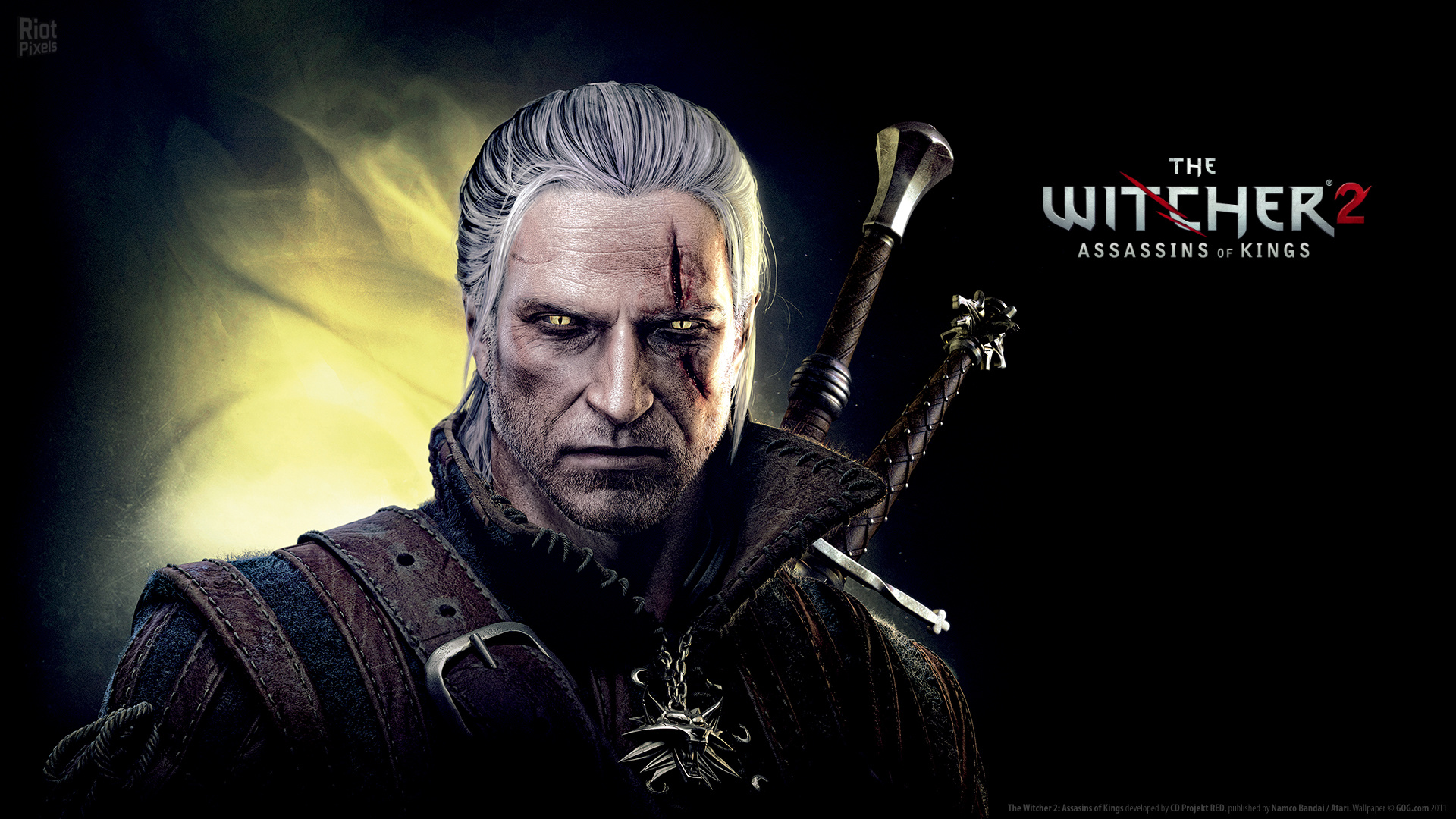 The Witcher 2 Assassins of Kings Enhanced GOG Linux Native