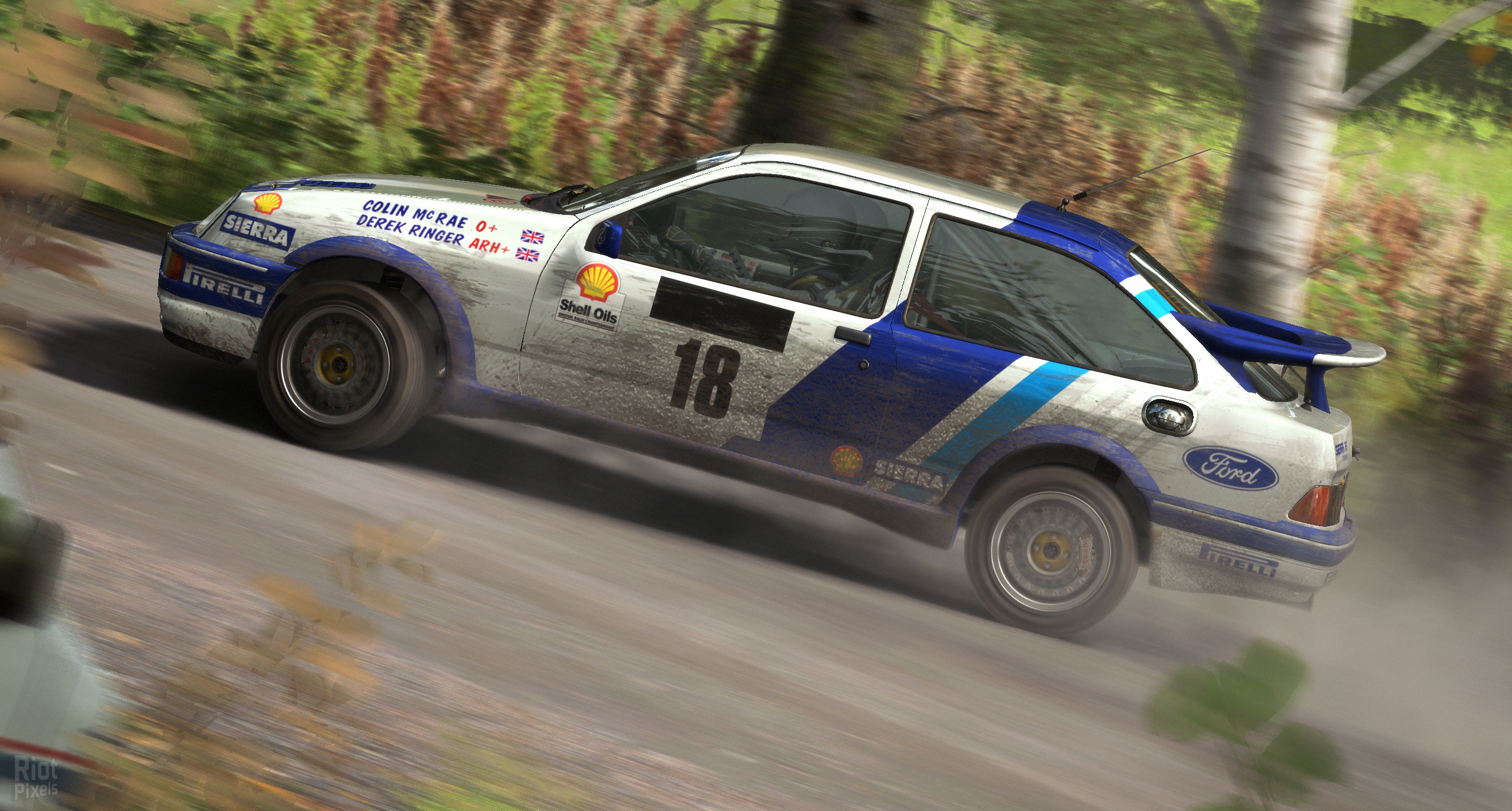 DiRT Rally – v1.23 screenshot 1