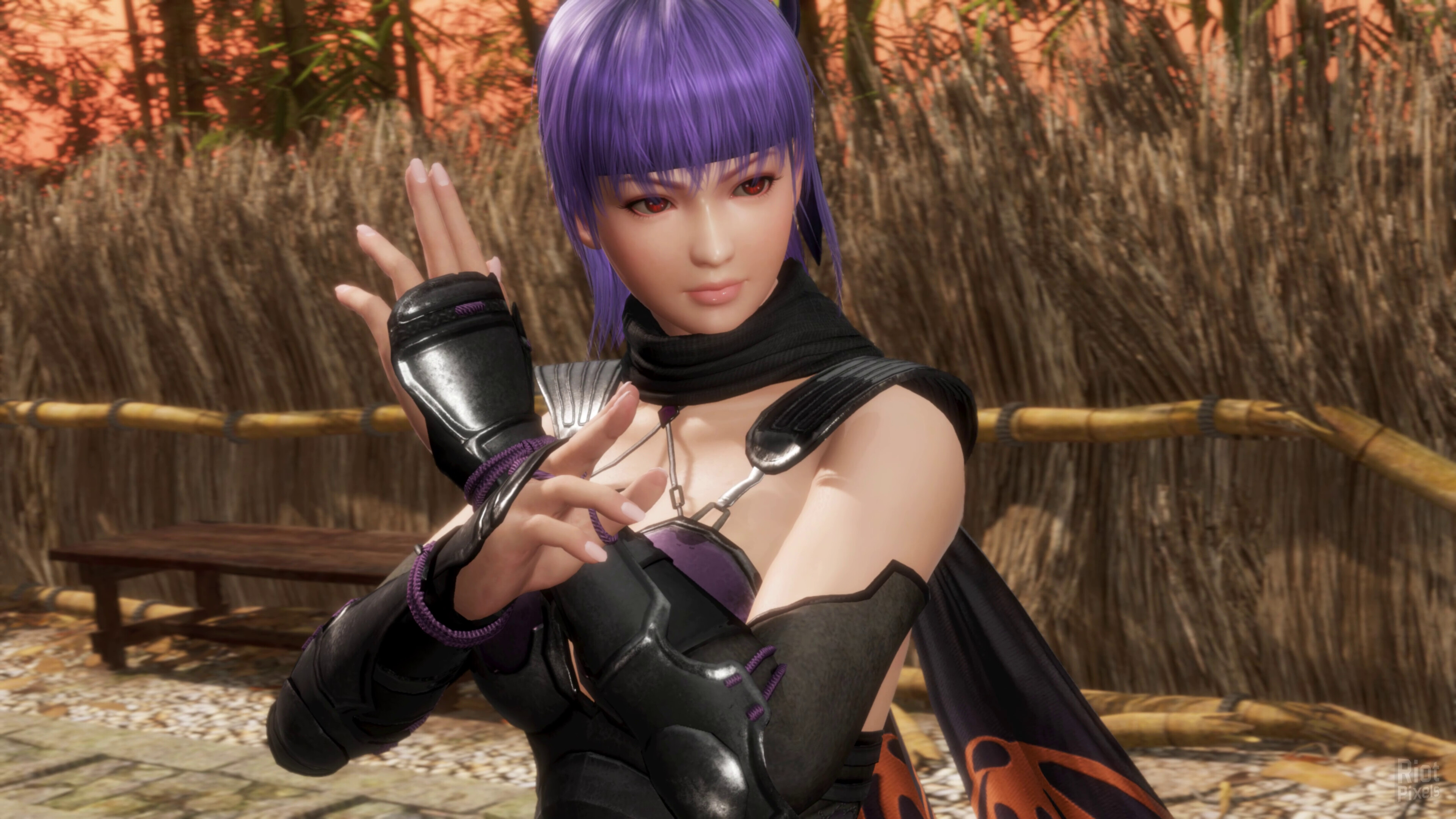 DEAD OR ALIVE 6 Last Round – v1.00a + 443 DLCs screenshot 3