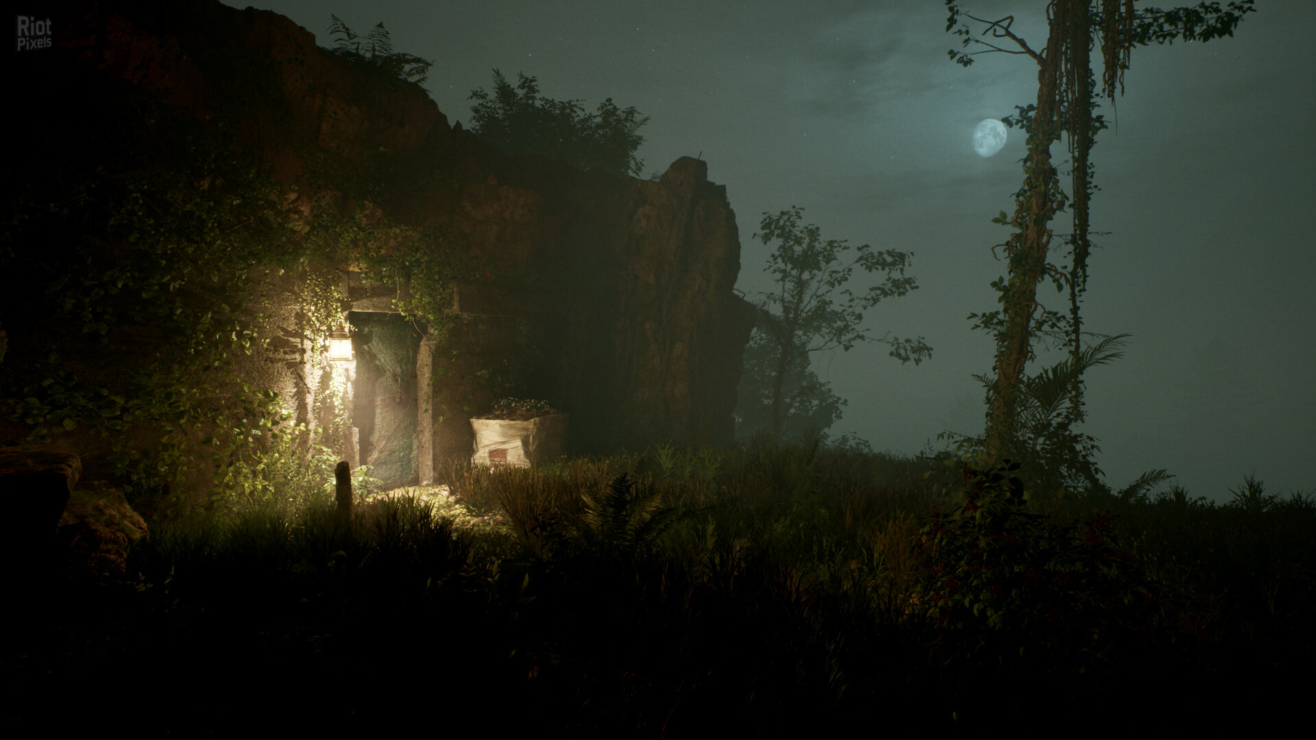 Cosmic Fear: Deluxe Edition – v1.1 + Bonus DLC screenshot 5