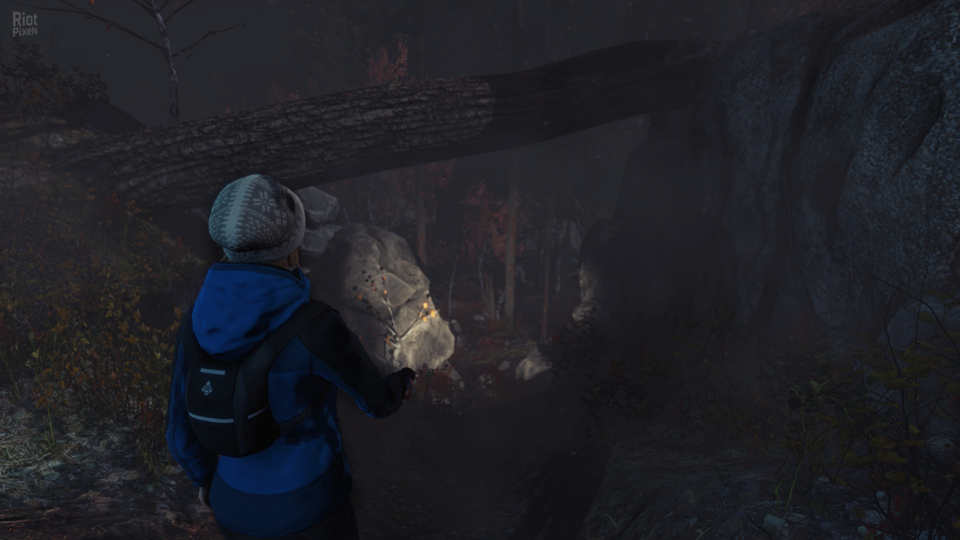 Through the Woods + HotFix screenshot 5