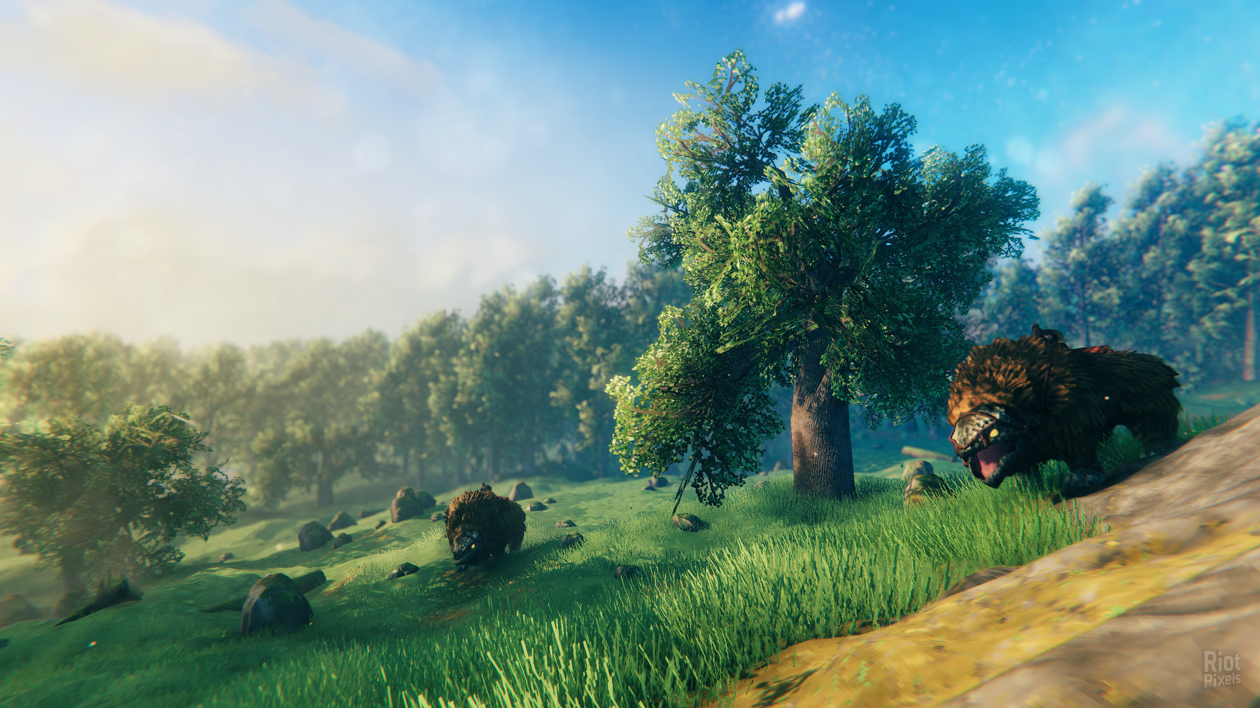 Valheim – v1.0.7 (Release) + 2 DLCs/Bonuses screenshot 5