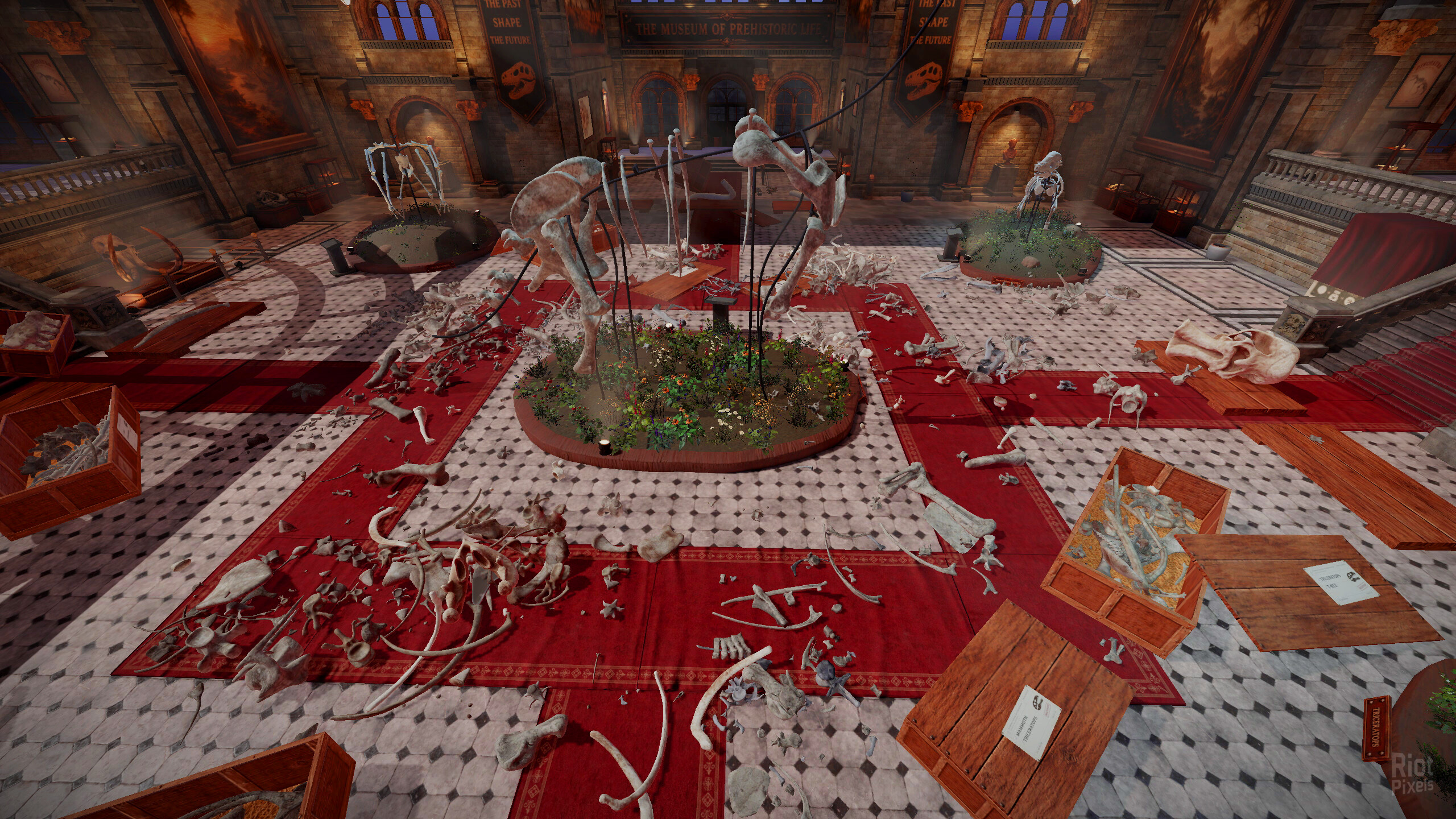 DinoBones: Tidy Up the Museum – v5.9.2 screenshot 5