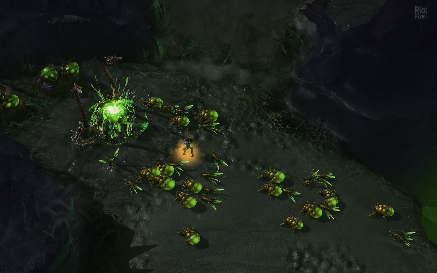 starcraft 2 heart of the swarm torrent