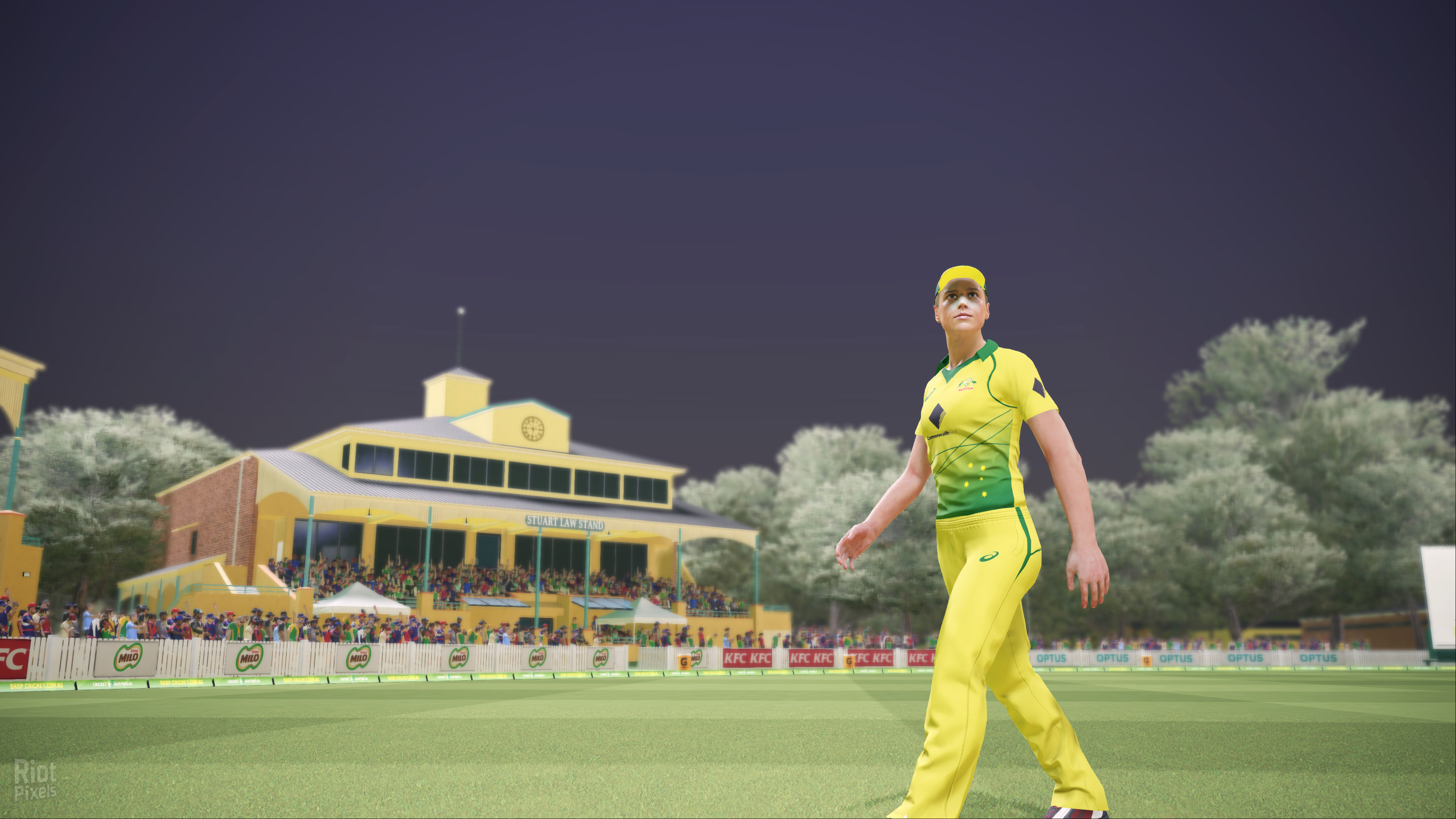 Ashes Cricket v1 0548 FitGirl Repack