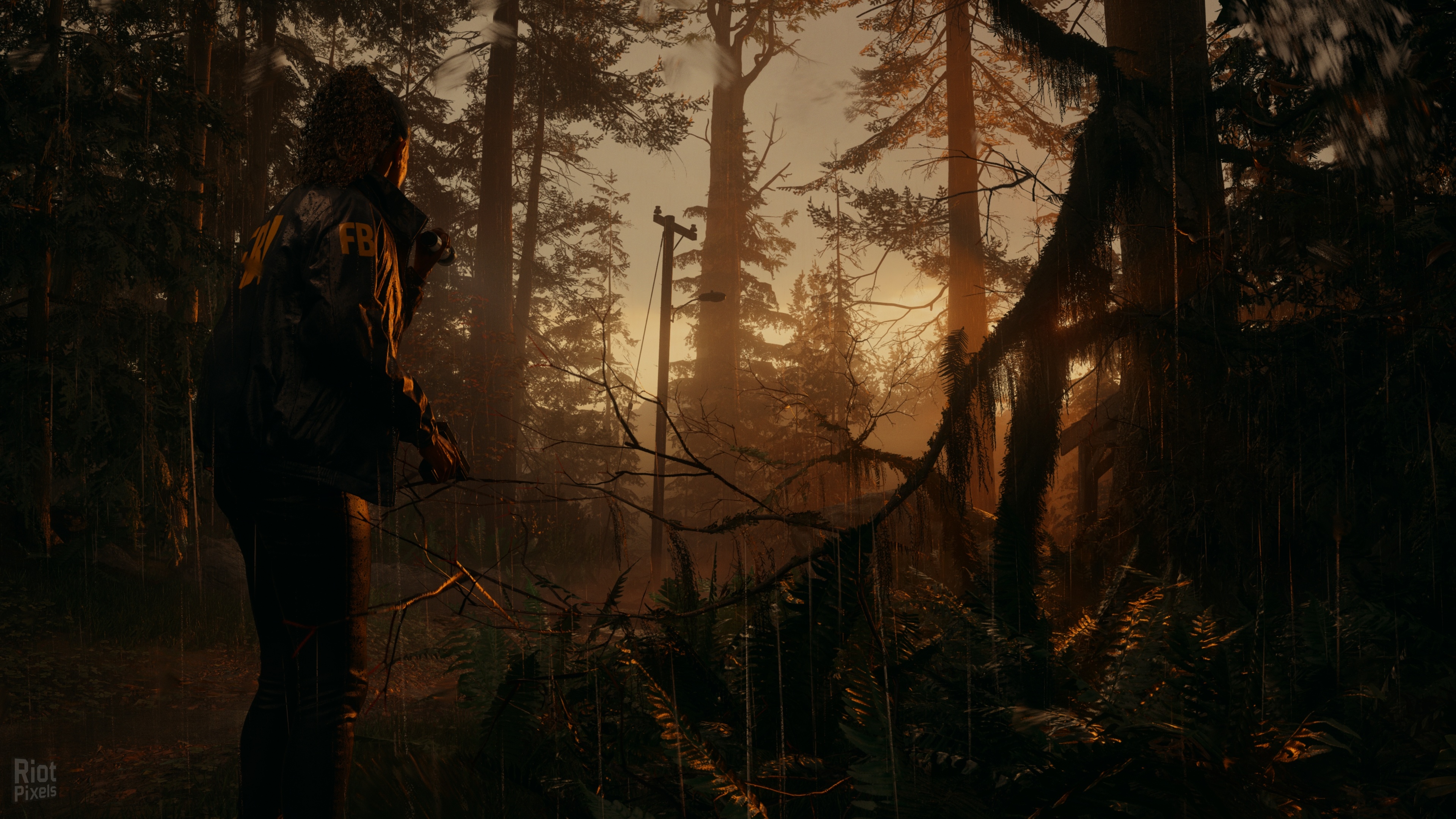 Alan Wake 2: Deluxe Edition, v1.2.2 + 4 DLCs + Bonus Soundtrack screenshot 4