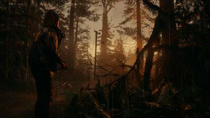 Download Alan Wake 2 – v1.0.6/v1.0.5 + Pre-order DLCs (PC) via Torrent 4