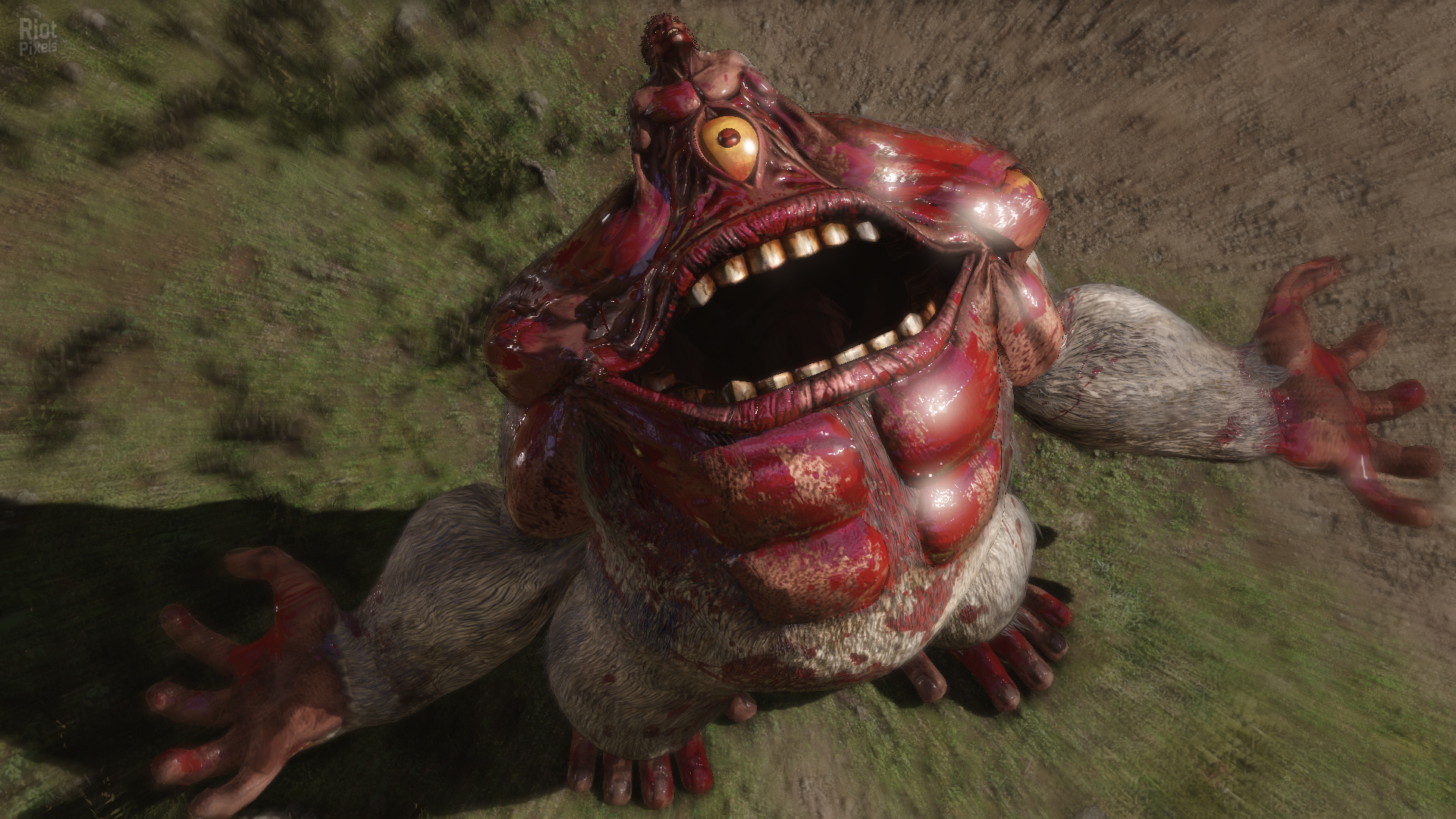 Berserk and the Band of the Hawk + 6 DLCs screenshot 2