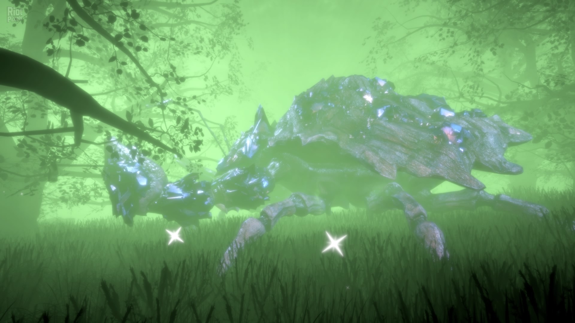 Hidden Treasures in the Forest of Dreams screenshot 4