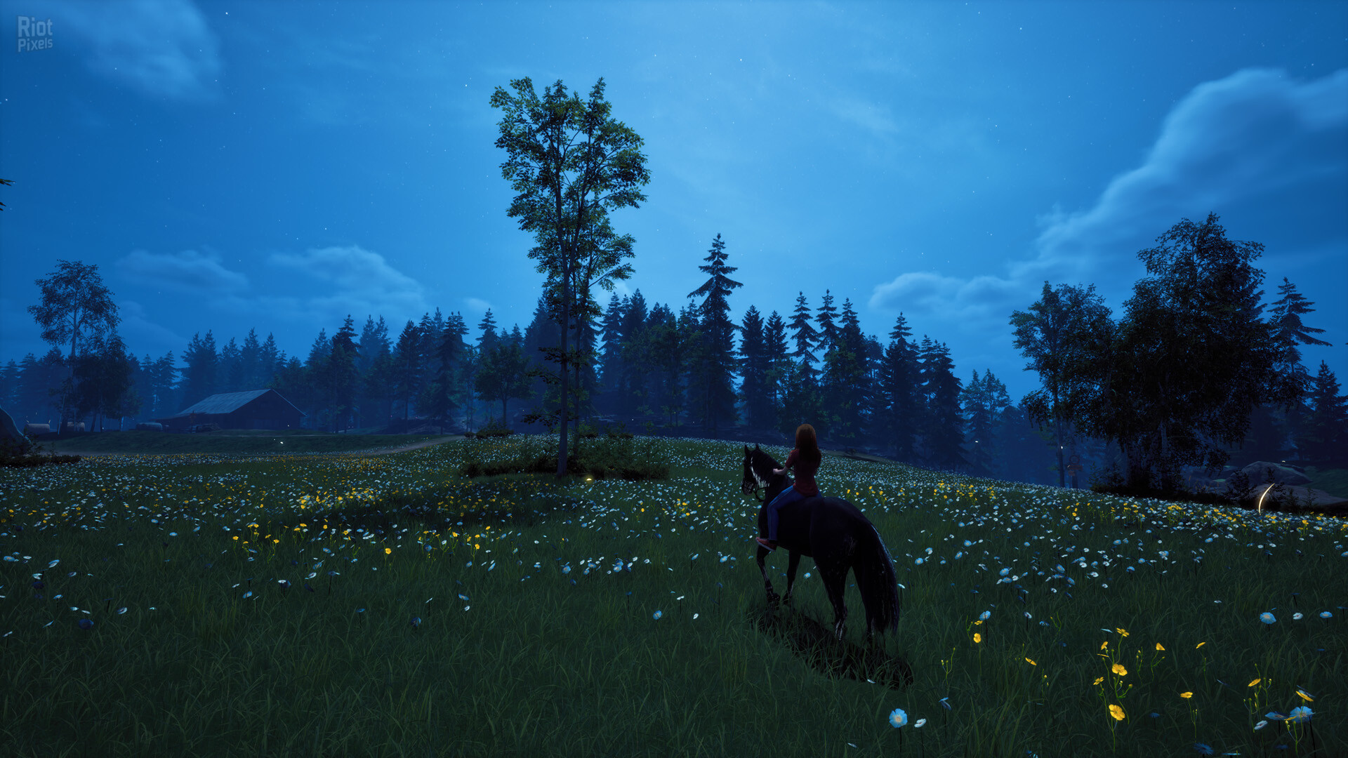 Windstorm: Start of a Great Friendship – Remastered: Complete Edition, v1.0.5 + Winter Wonderland DLC + Windows 7 Fix screenshot 6