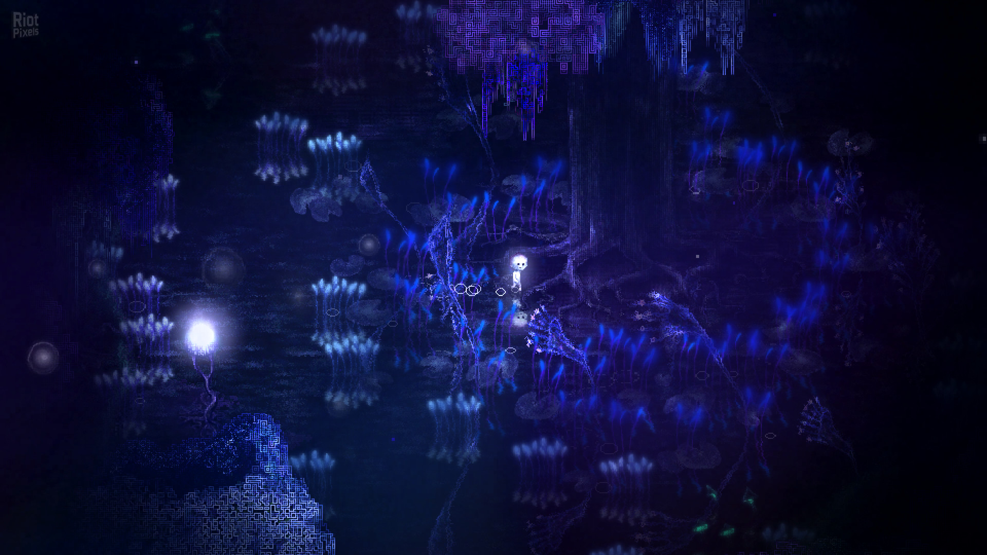 Dap screenshot 3