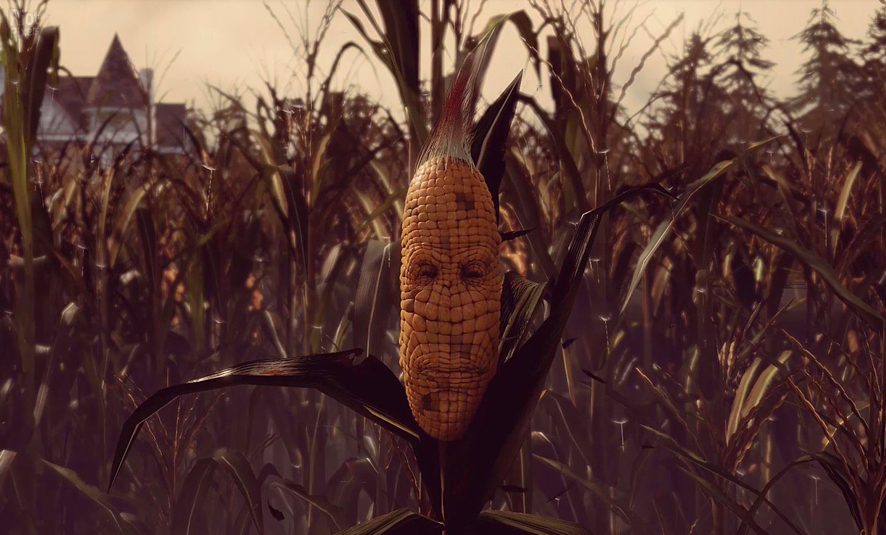 Maize screenshot 4