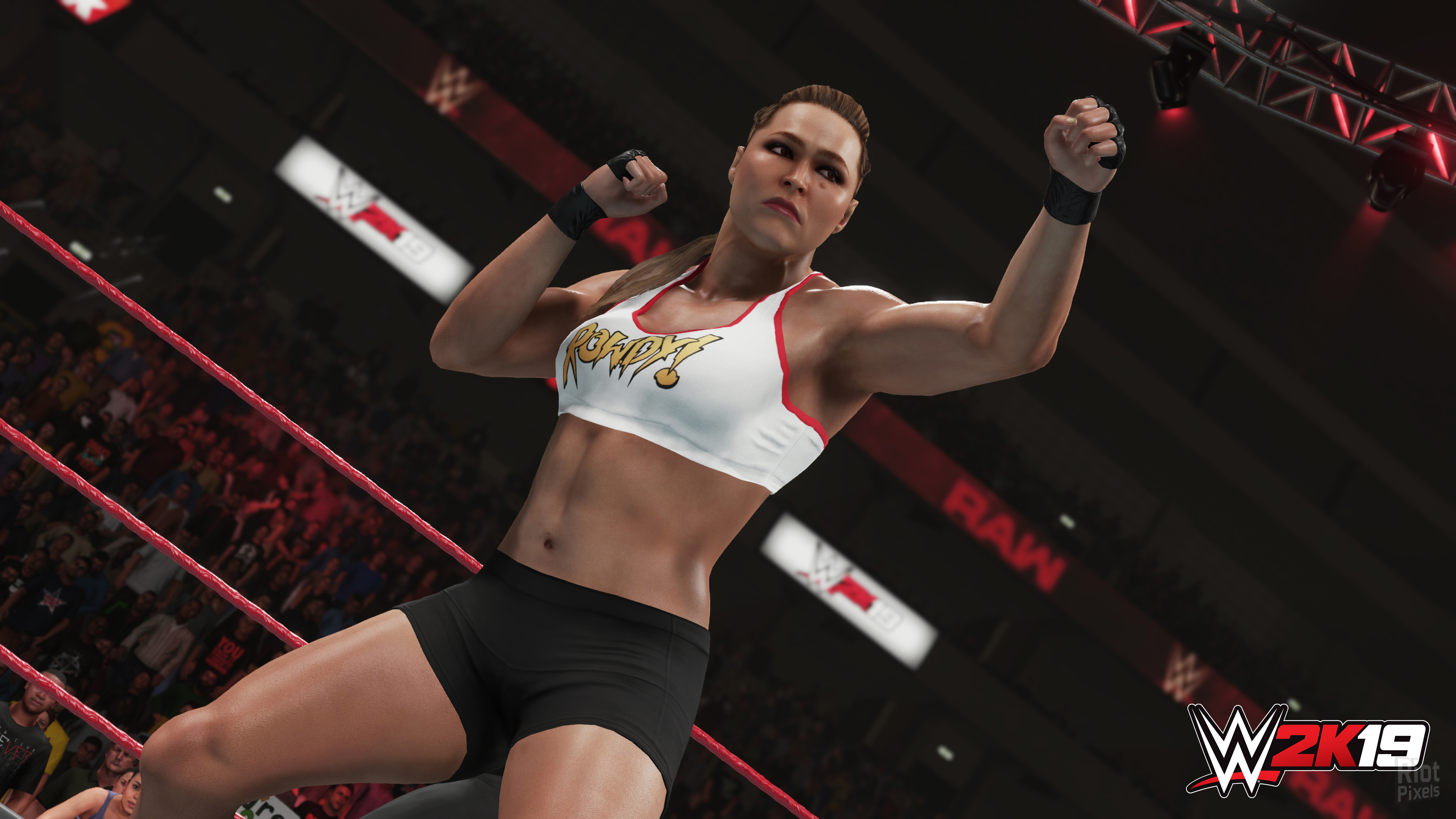 WWE 2K19 Digital Deluxe Edition 4 DLCs MULTi6 FitGirl Repack Selective Download from 25 4 GB