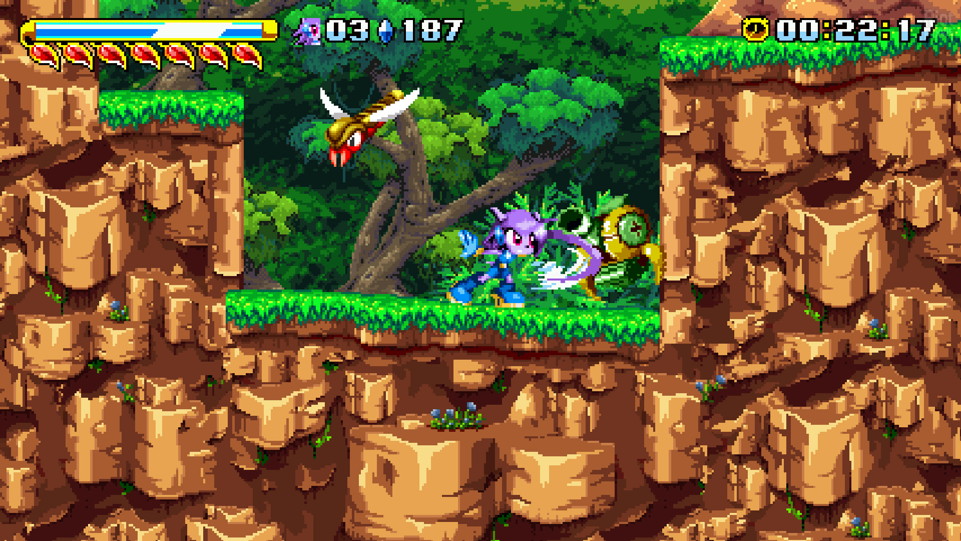 Freedom Planet 1 21 5 ENG Goldberg GNU Linux Native johncena141