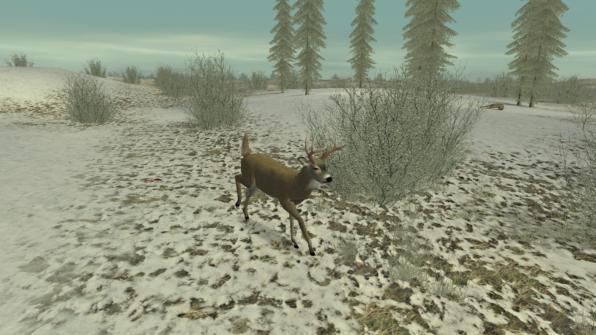 deer hunter 5 tracking trophies screenshots deer hunter 5 tracking trophies screenshots
