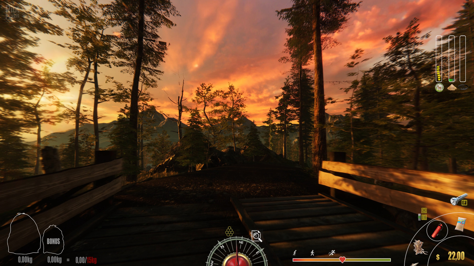 Forest Ranger Simulator 1