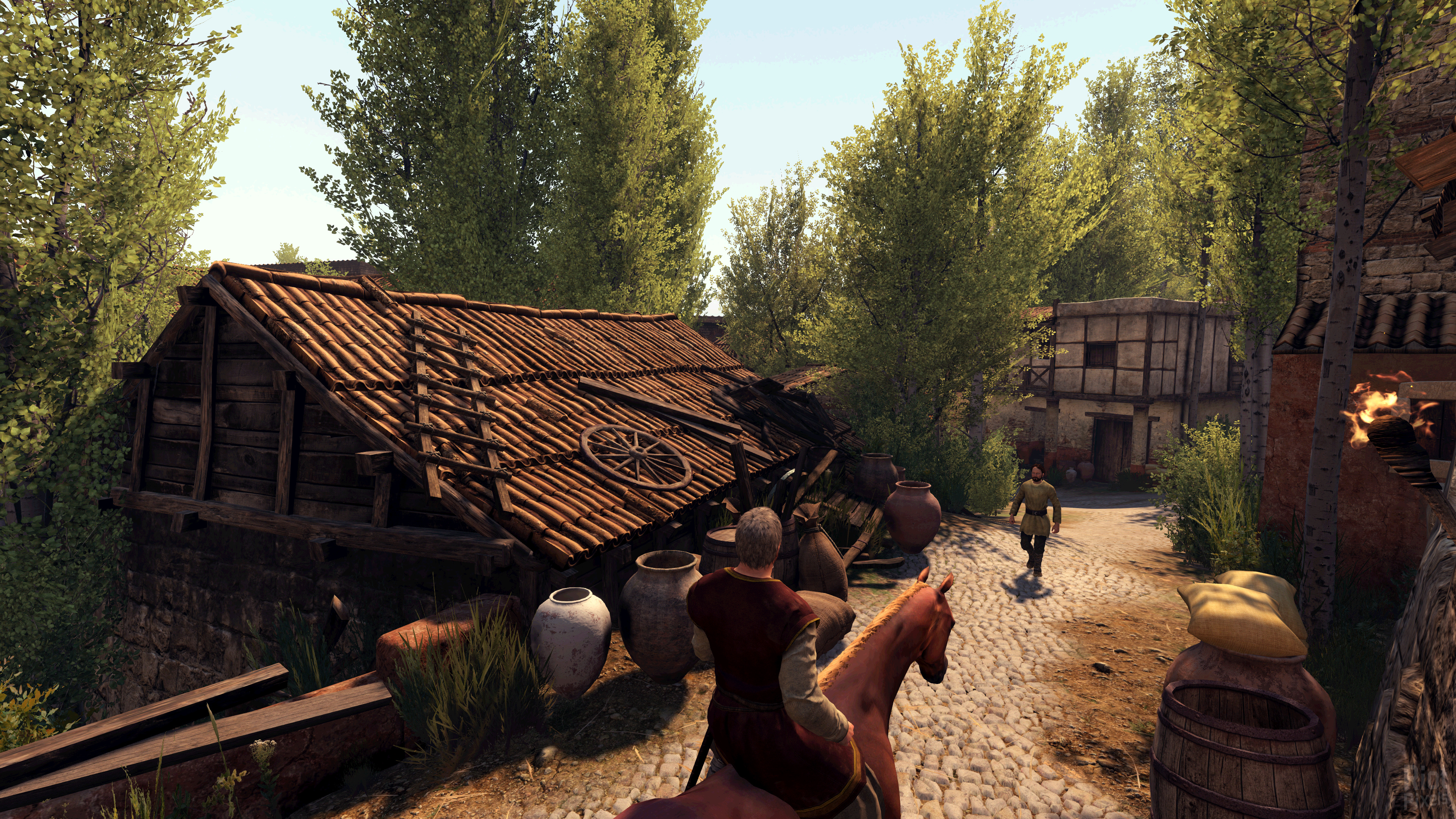 Mount Blade II Bannerlord Goldberg