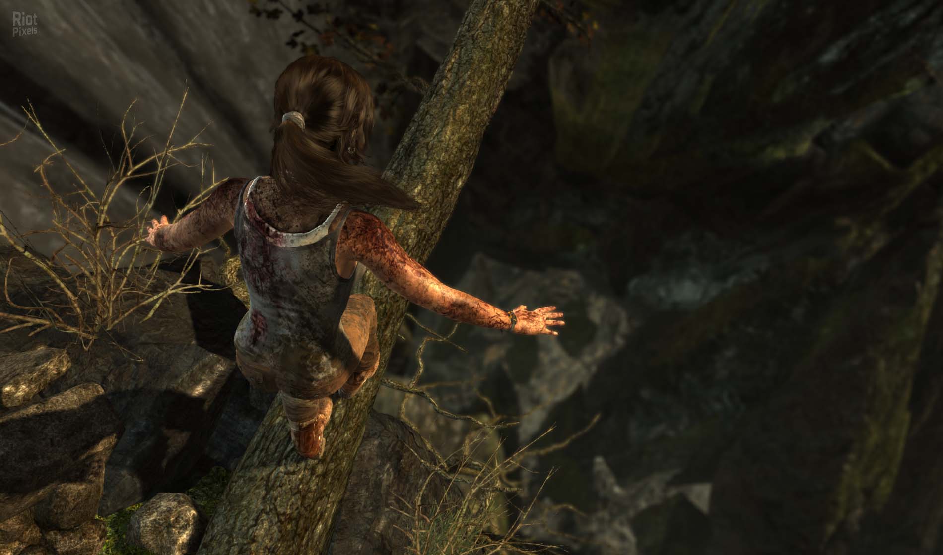 Tomb Raider Trilogy All DLC Goldberg ENG Linux Native Rise of the Tomb Raider Shadow of the Tomb Raider