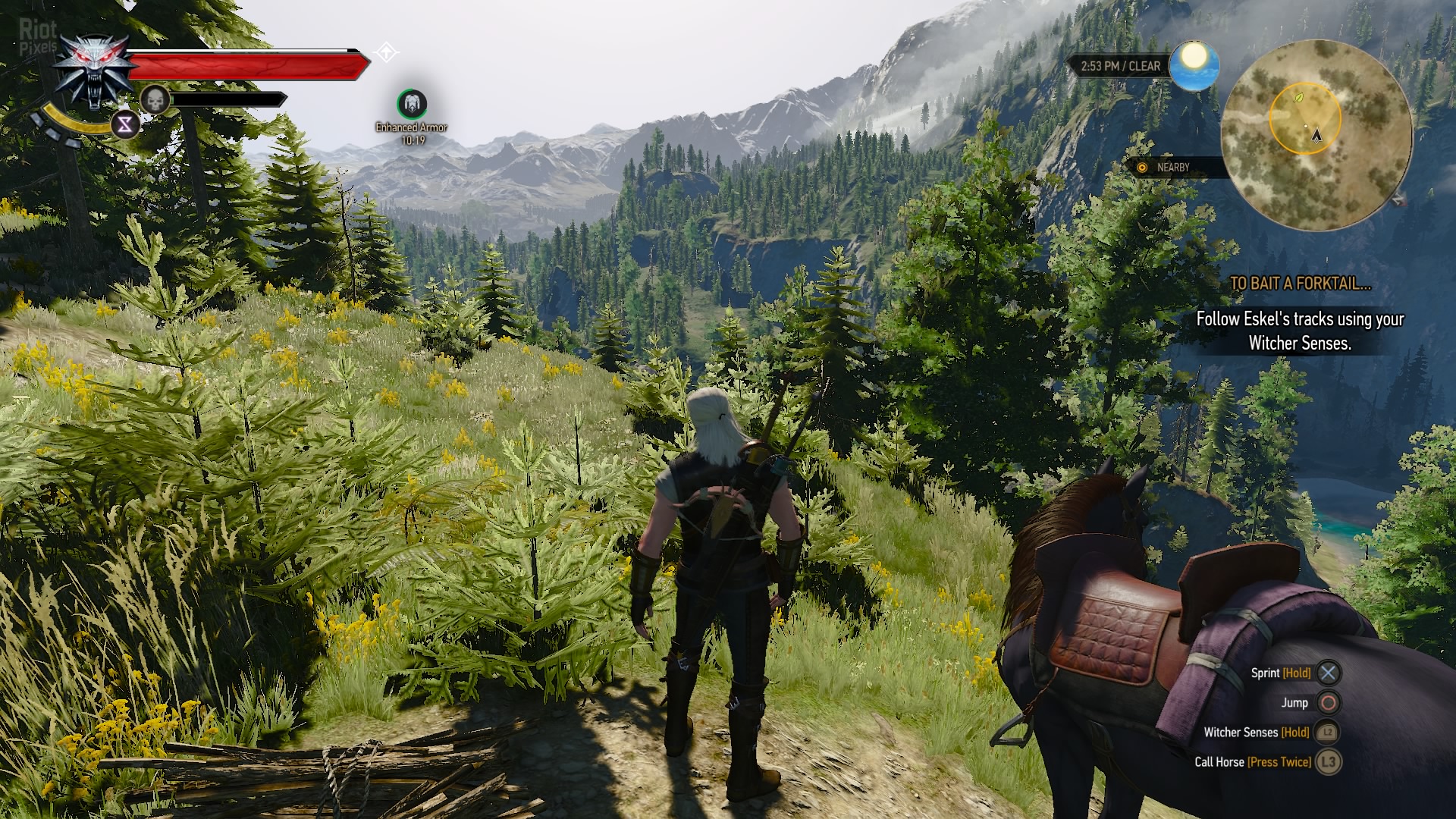 The witcher 3 pc механики фото 64