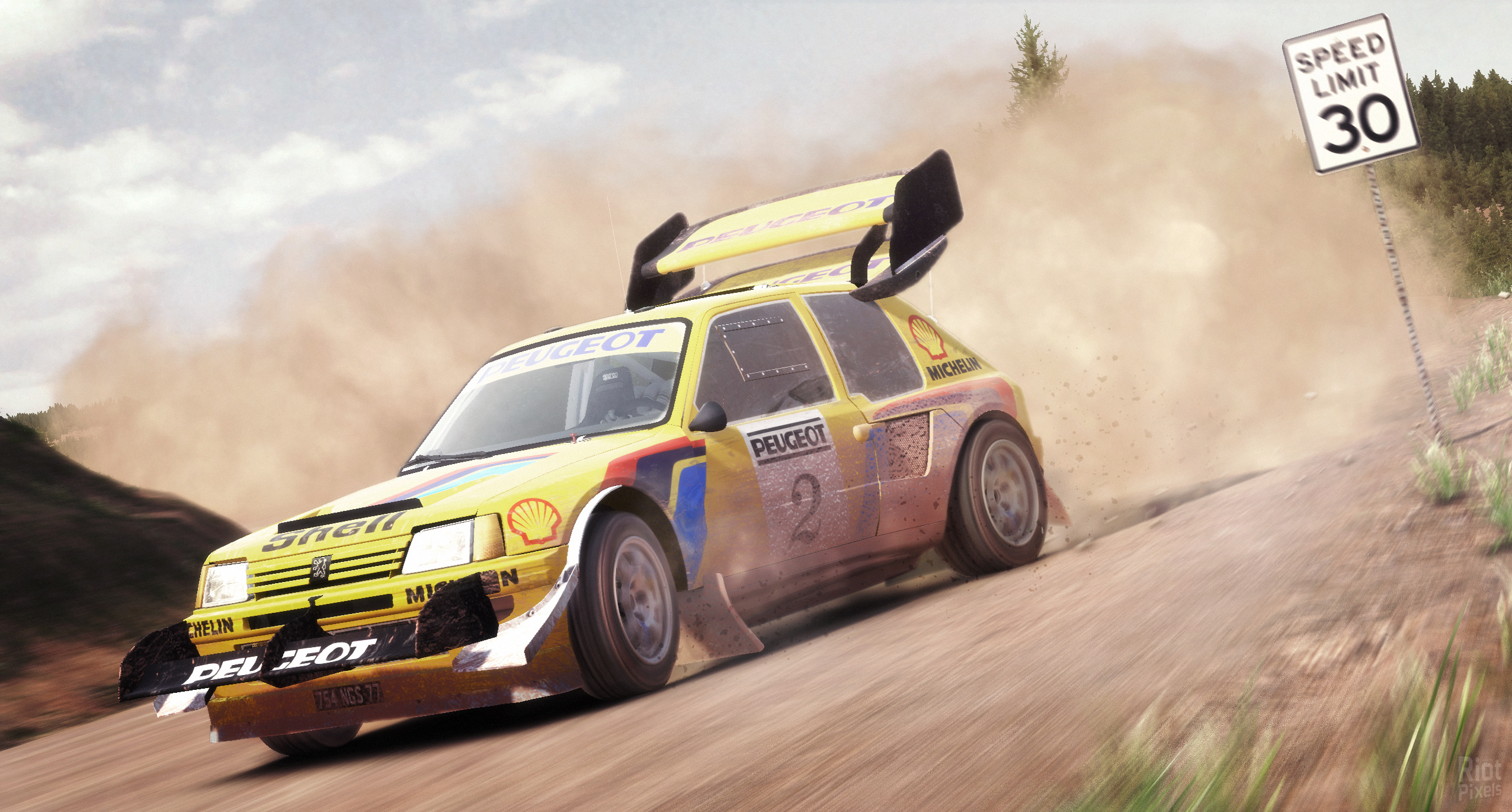 DiRT Rally – v1.23 screenshot 2