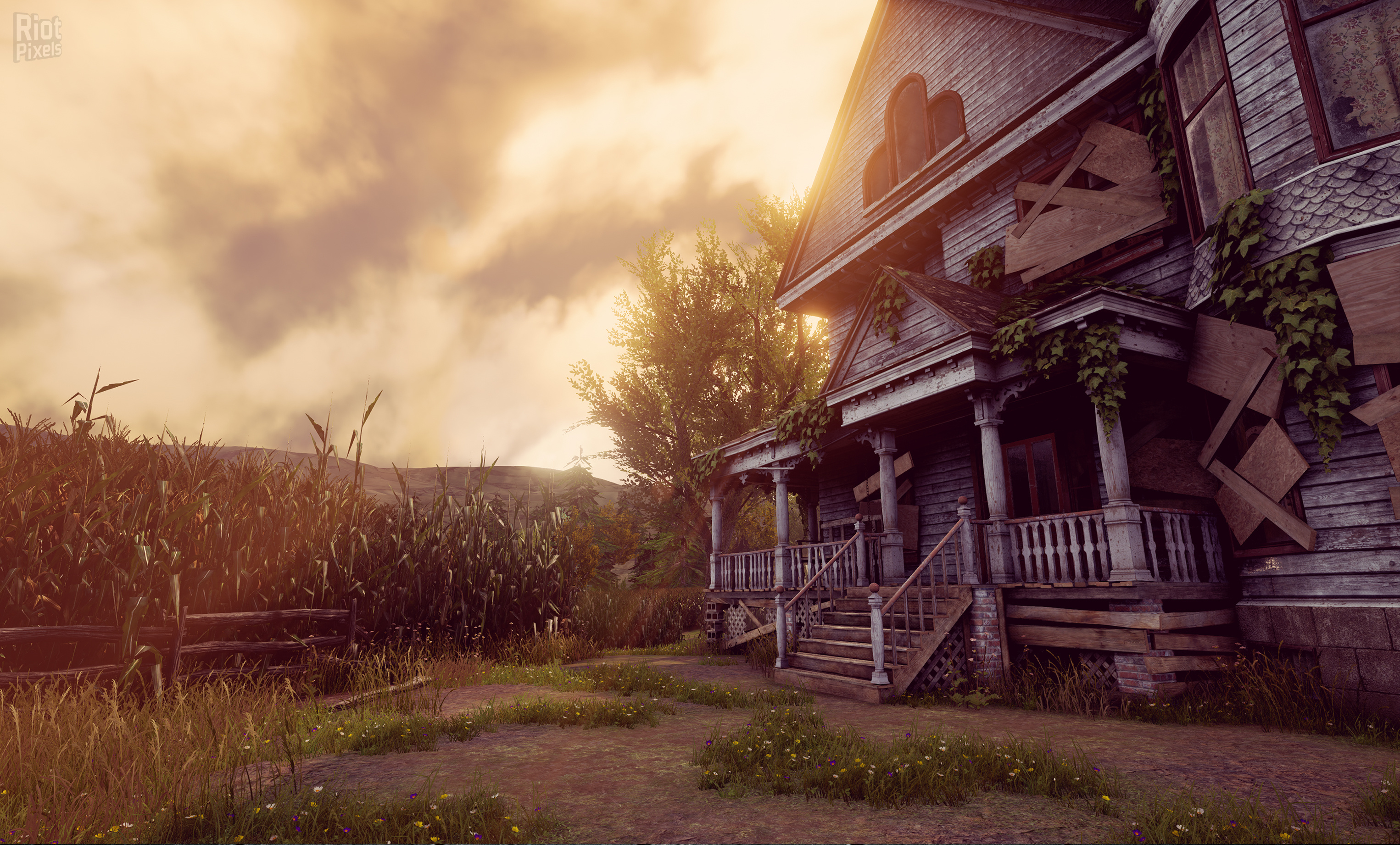 Maize screenshot 6