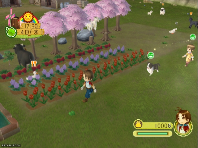 wii save game code harvest moon animal parade