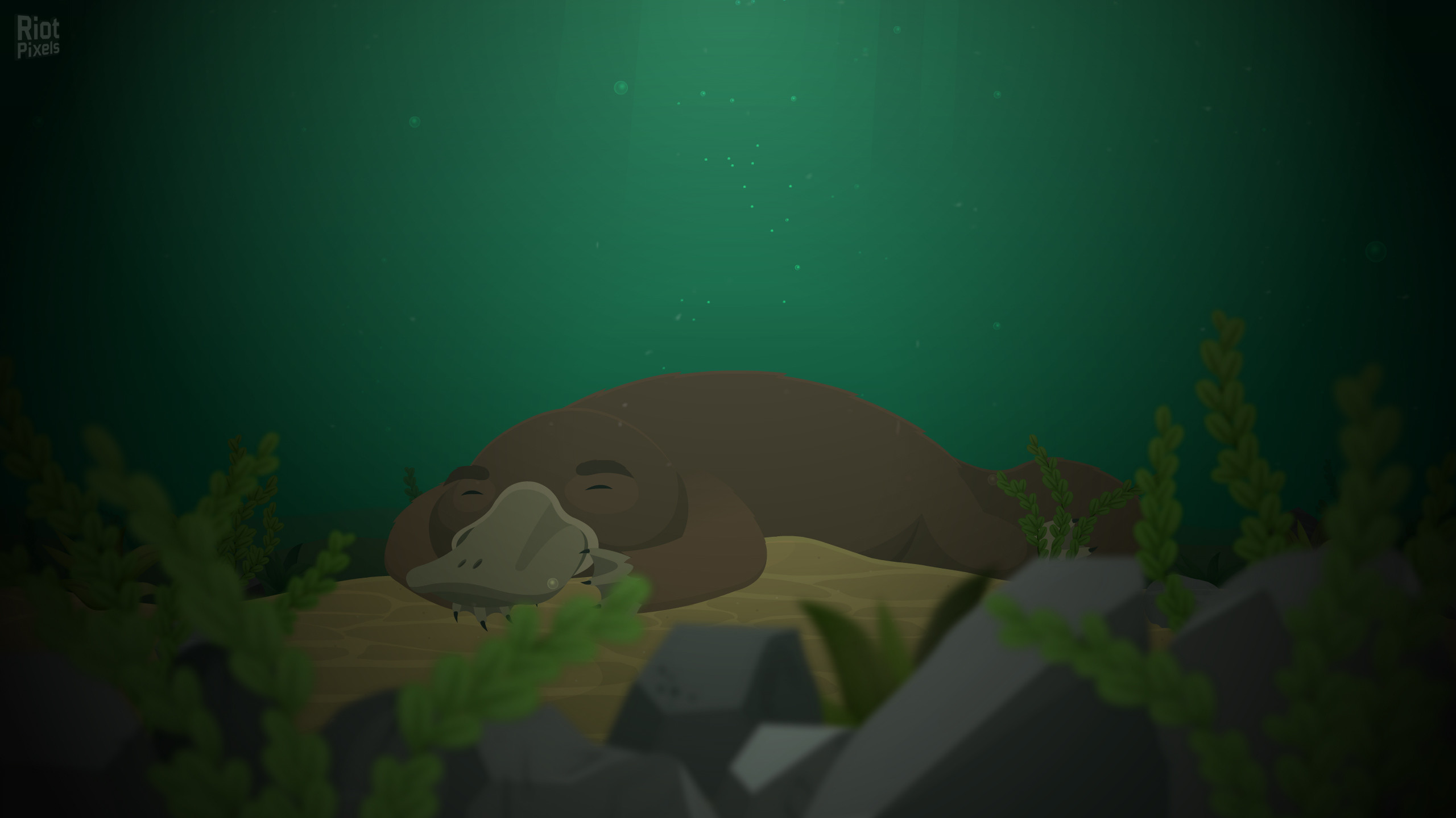 Repella Fella: Pirate Edition screenshot 3