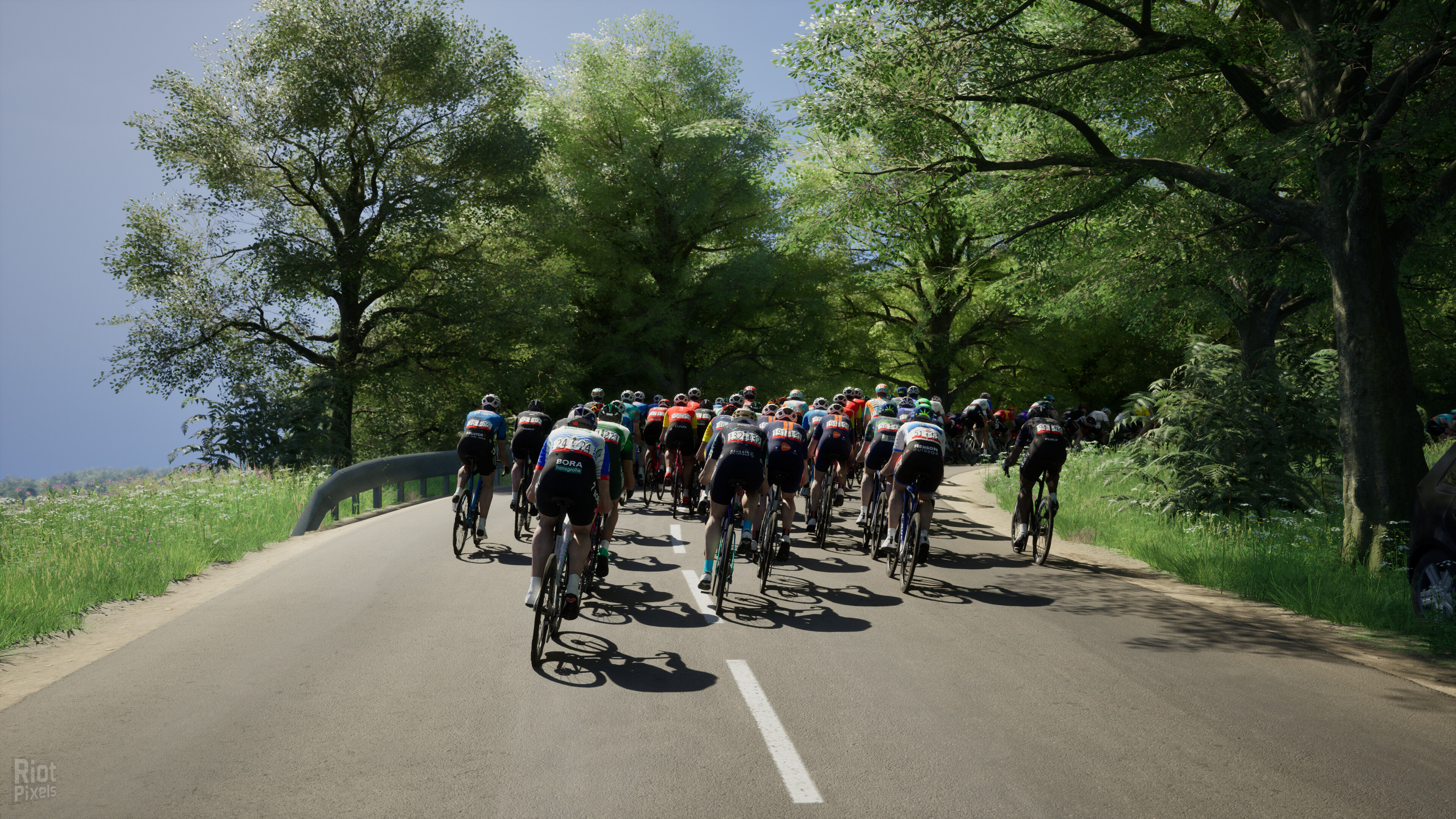 Pro Cycling Manager 26 – v1.3.2.510 screenshot 2