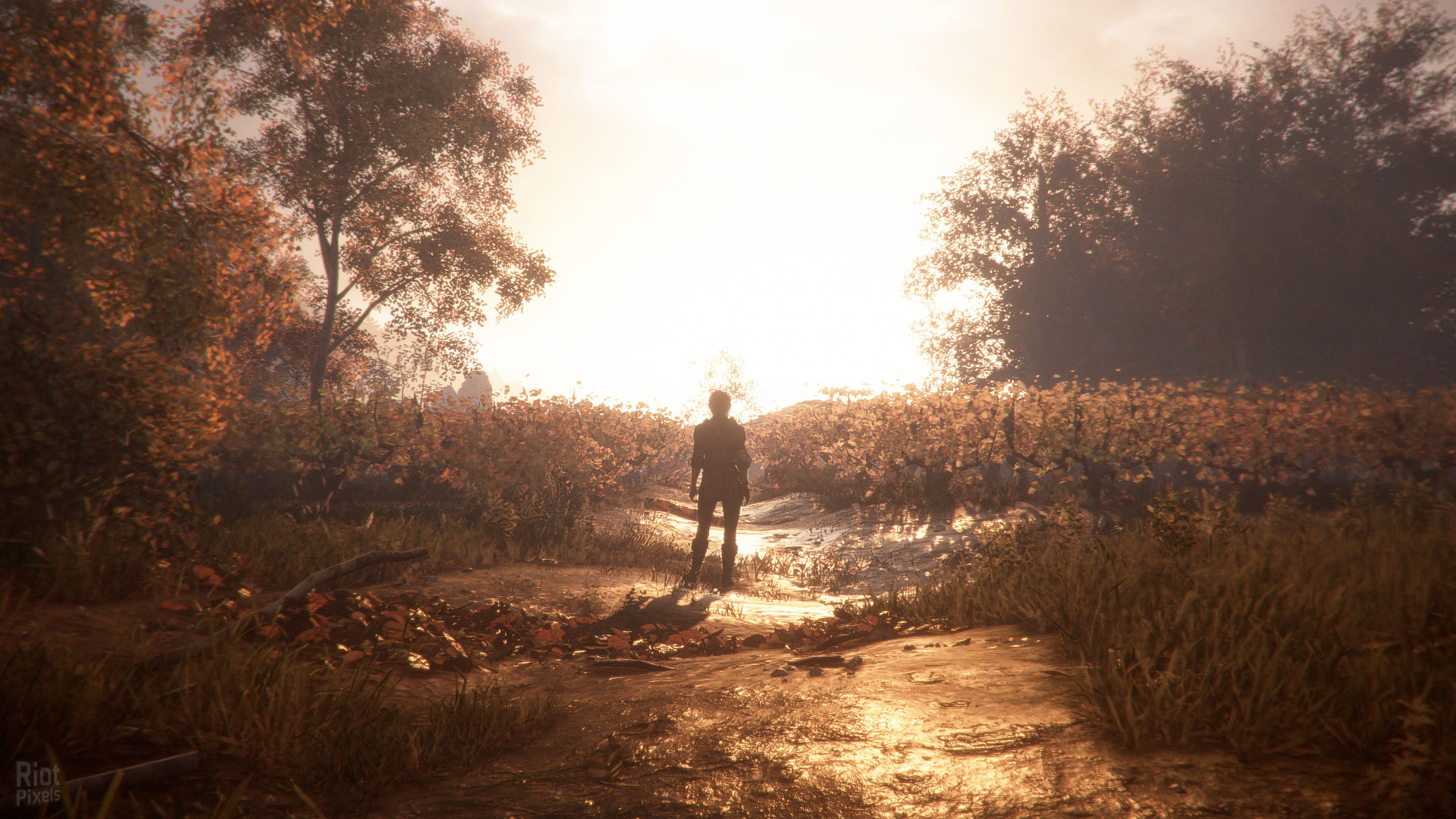 A Plague Tale: Innocence (+ Coats of Arms DLC, MULTi11) [FitGirl Repack, Selective Download - from 10.1 GB]