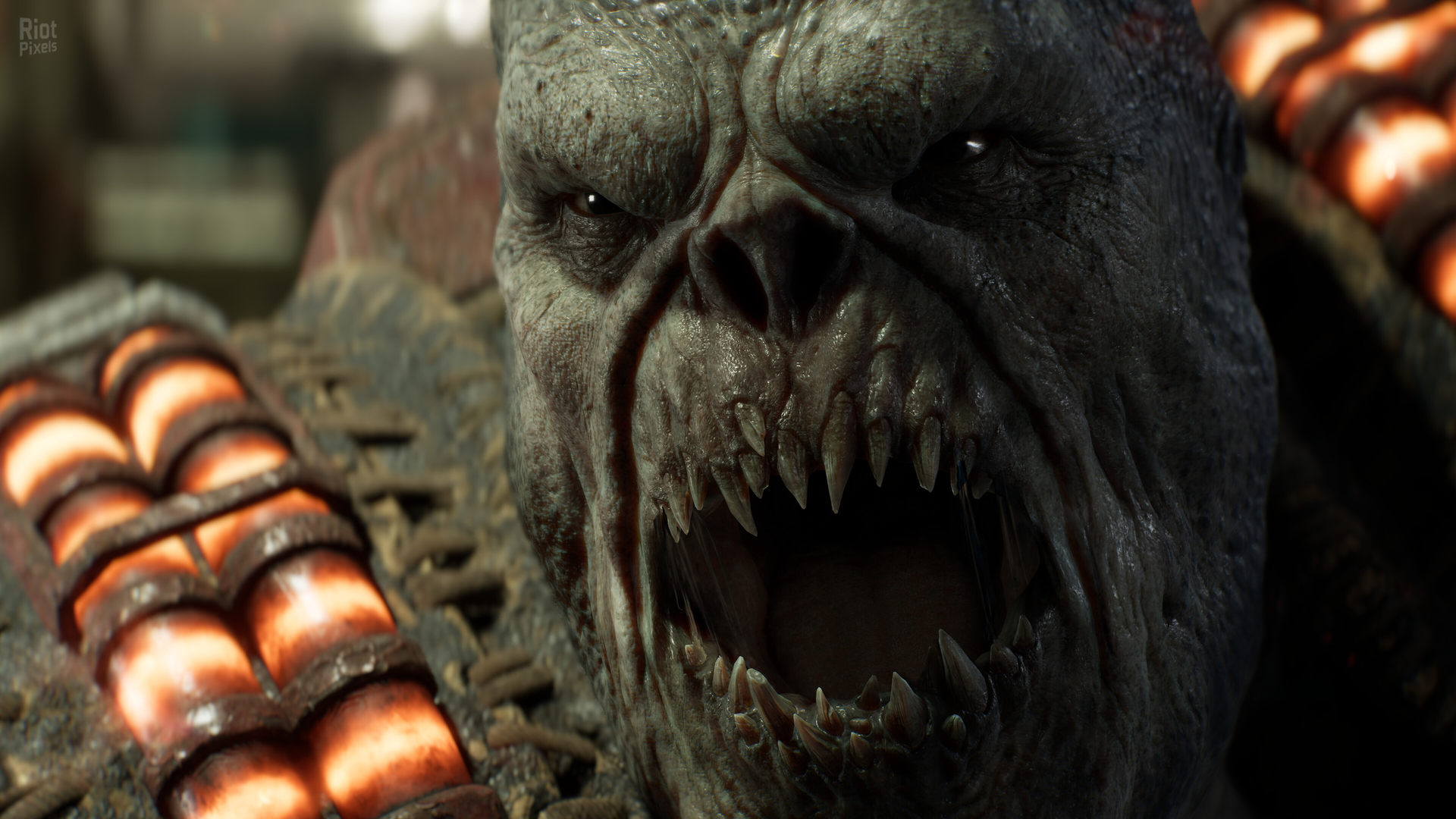 Gears of War: E-Day – v4894958 (Release) + 7 DLCs* screenshot 3